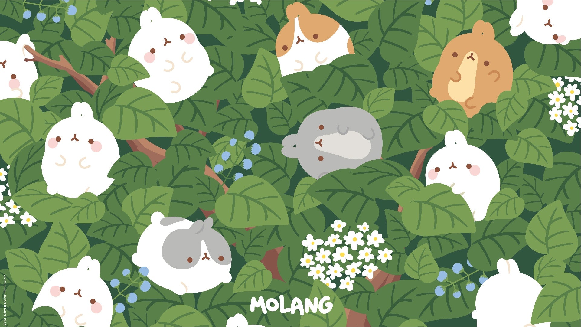 Molang Ultra HD Desktop Background Wallpaper for 4K UHD TV