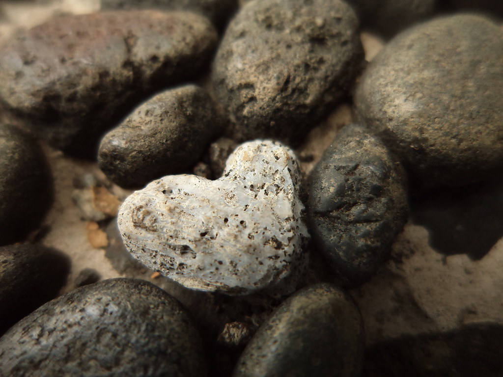 Igneous Rock