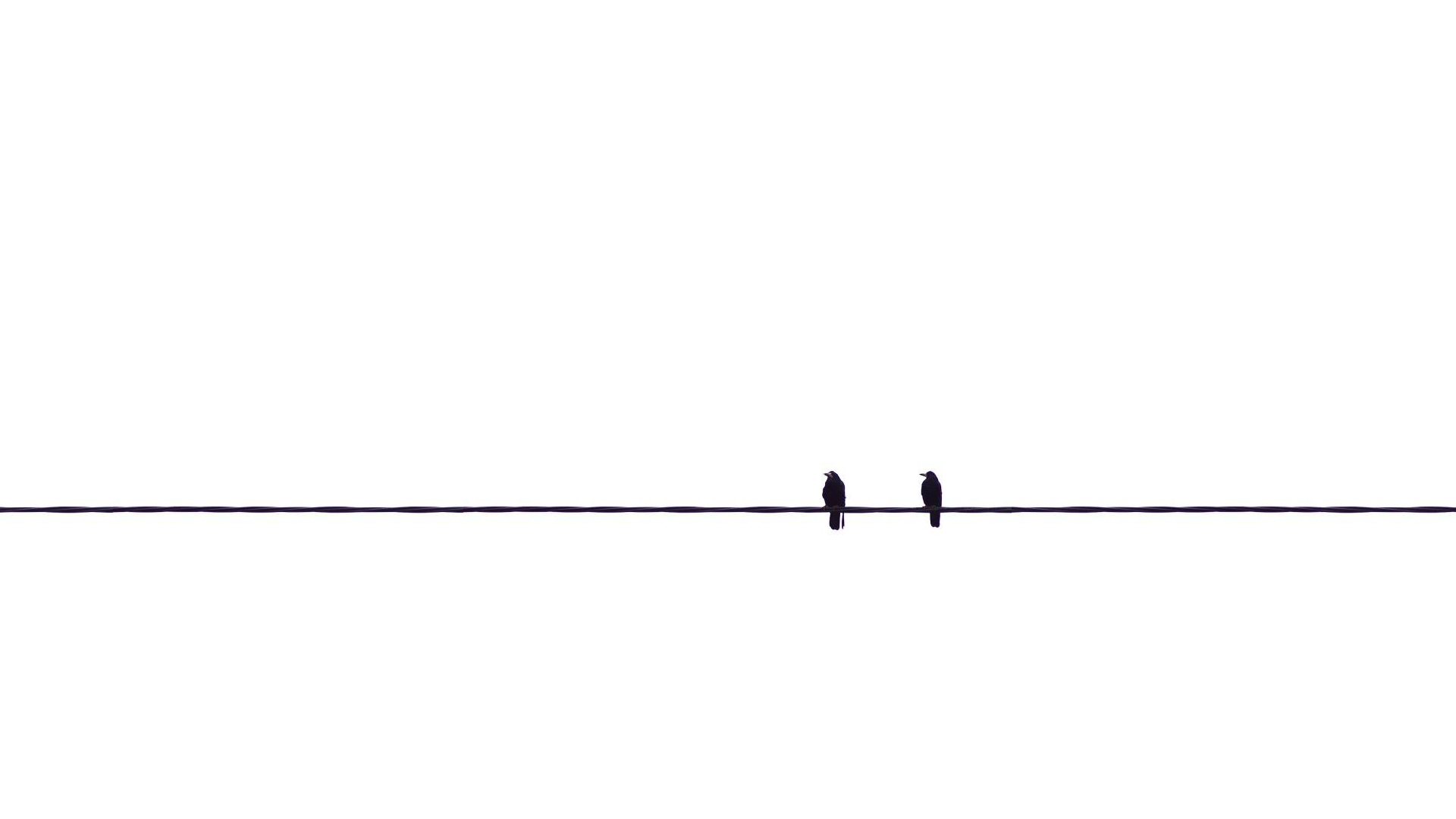 Birds on a Wire