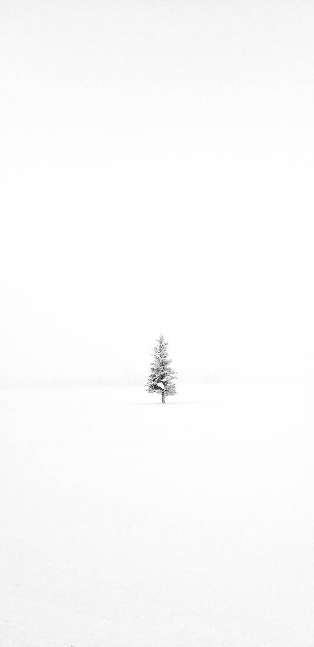 Minimalist Winter Wallpaper