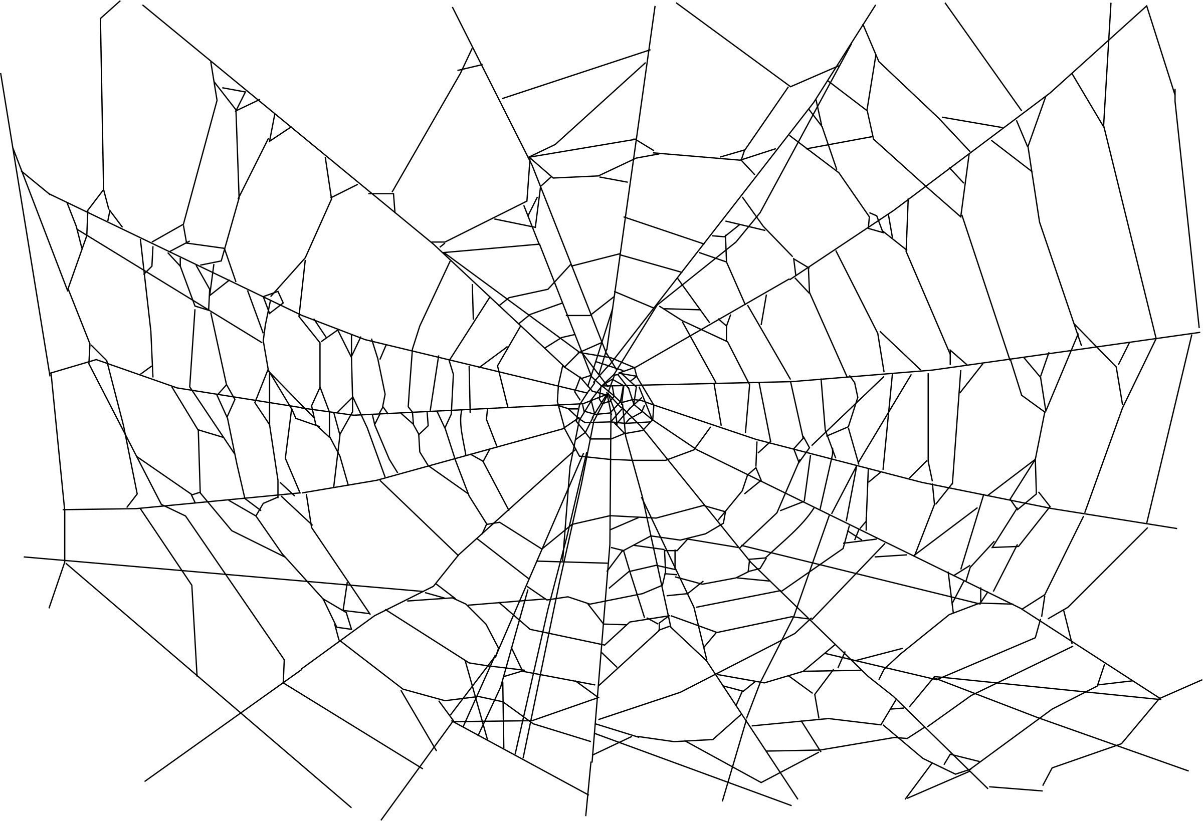 Spider Web Background