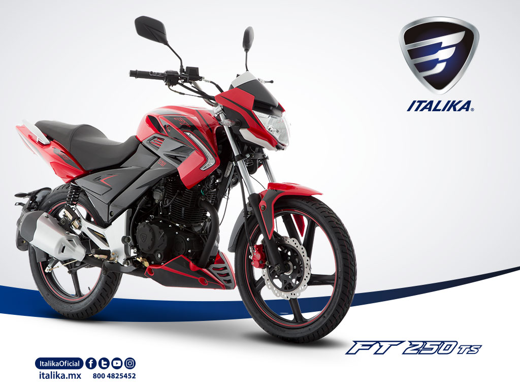 FT250TS motor de tu vida