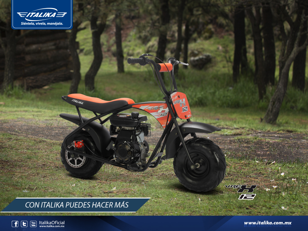 Descarga tu modelo favorito Wallpaper