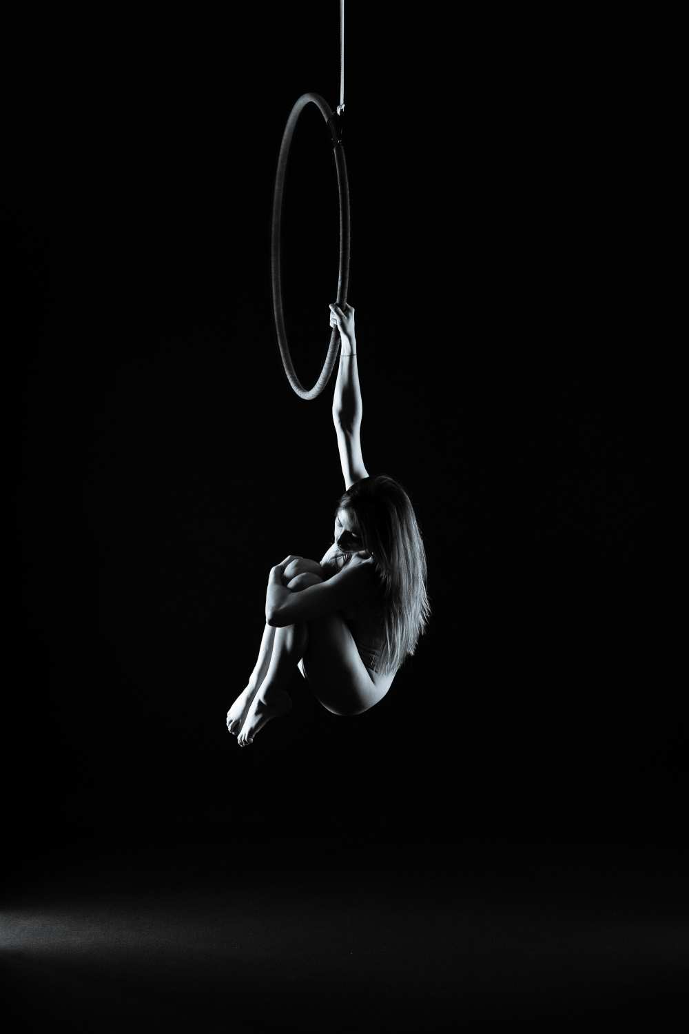 Aerial hoop as art print or hand painted oil