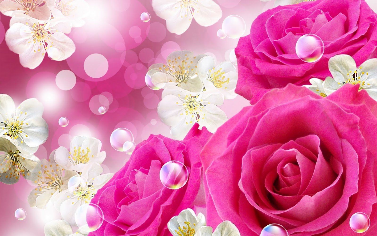 Beautiful Pink Roses For Desktop Wallpaper Full HD Wallpaper In Roses Wallpaper & Background Download
