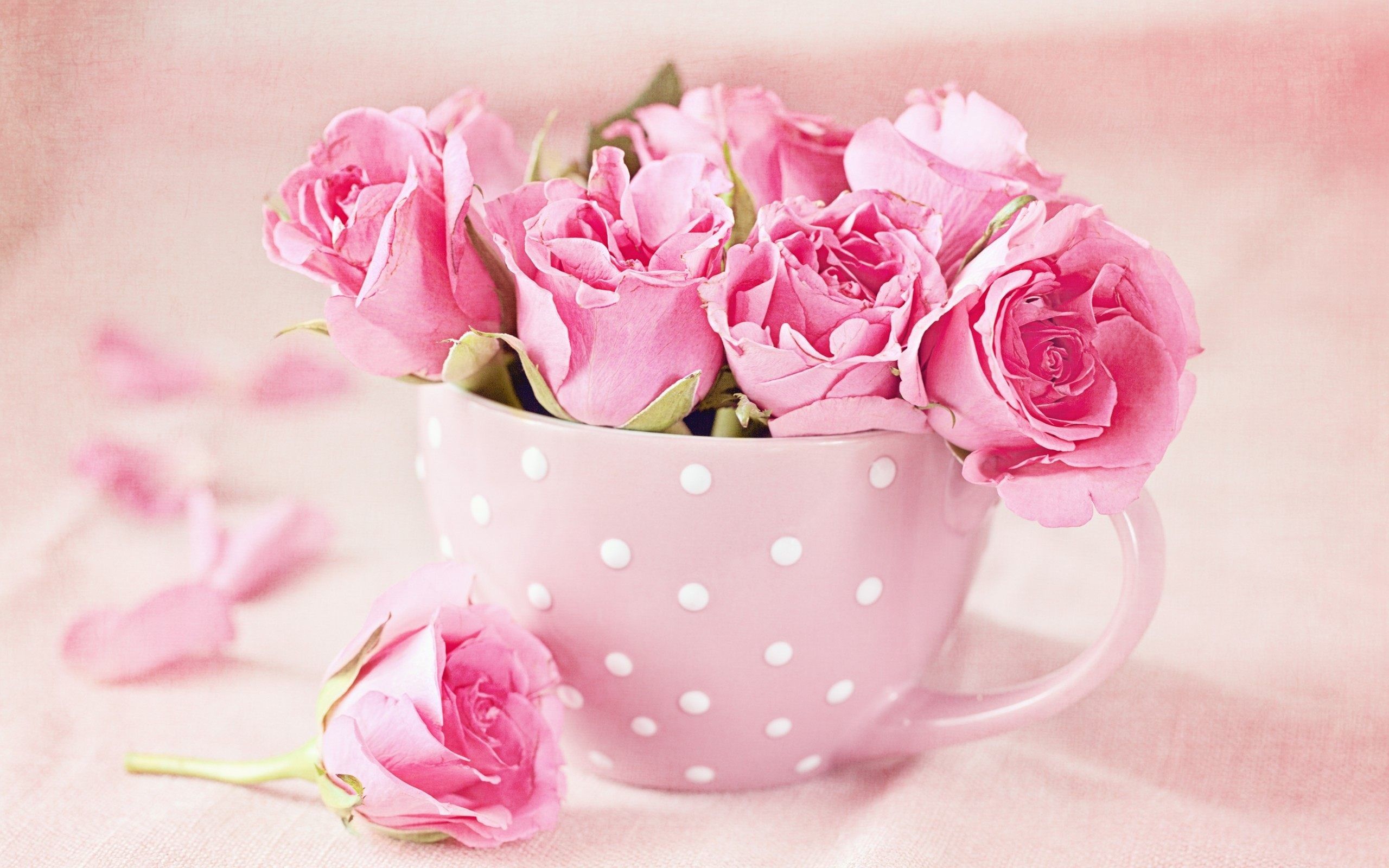 Pink Roses HD Wallpaper Free Pink Roses HD Background