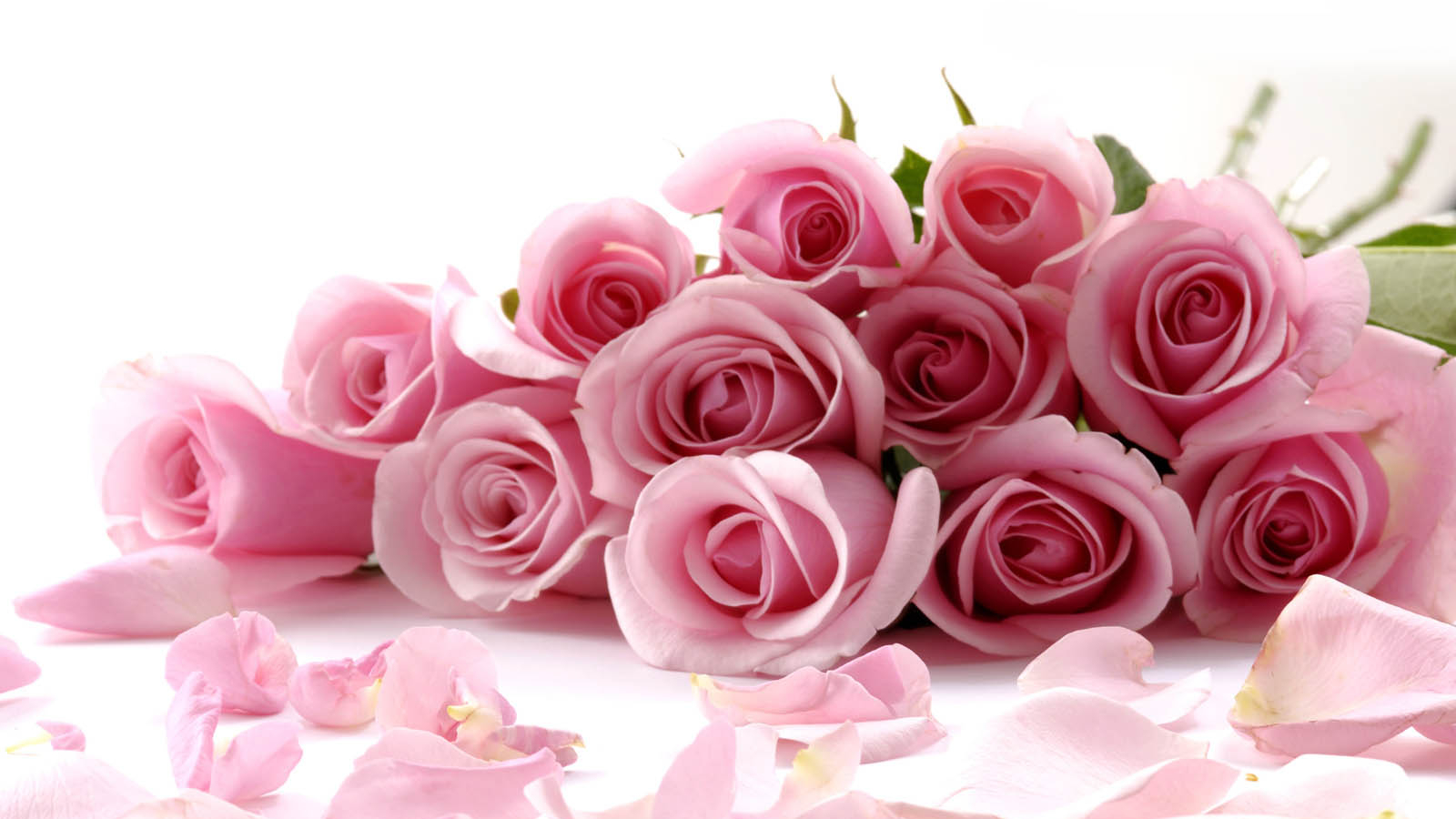 Free download pink rose wallpaper beautiful pink rose wallpaper roses flower roses [1600x1200] for your Desktop, Mobile & Tablet. Explore Wallpaper Pink Roses. Pink Wallpaper, Pink Flower Wallpaper, Pink Background Wallpaper