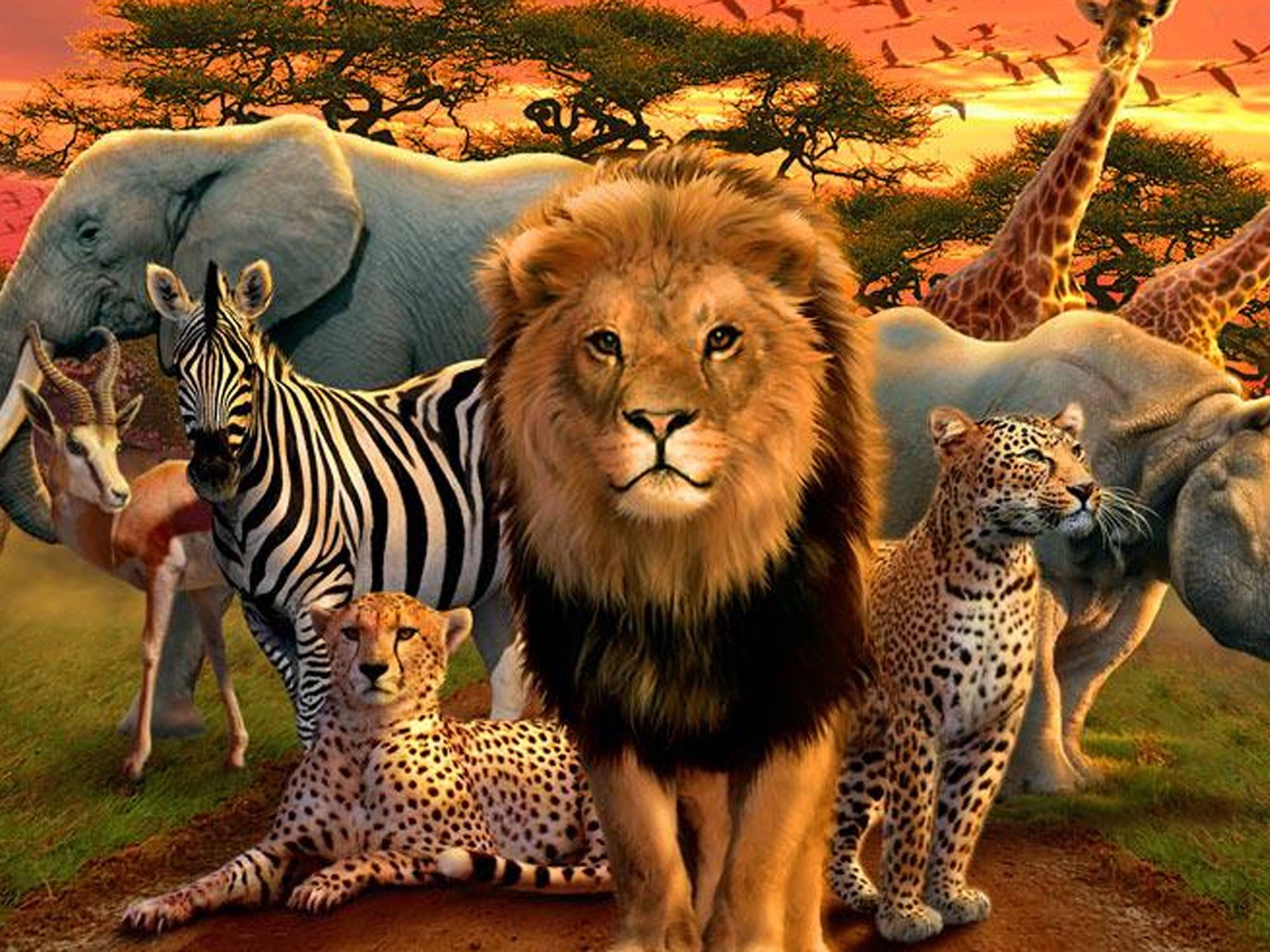 Животные Африки на одной картинке