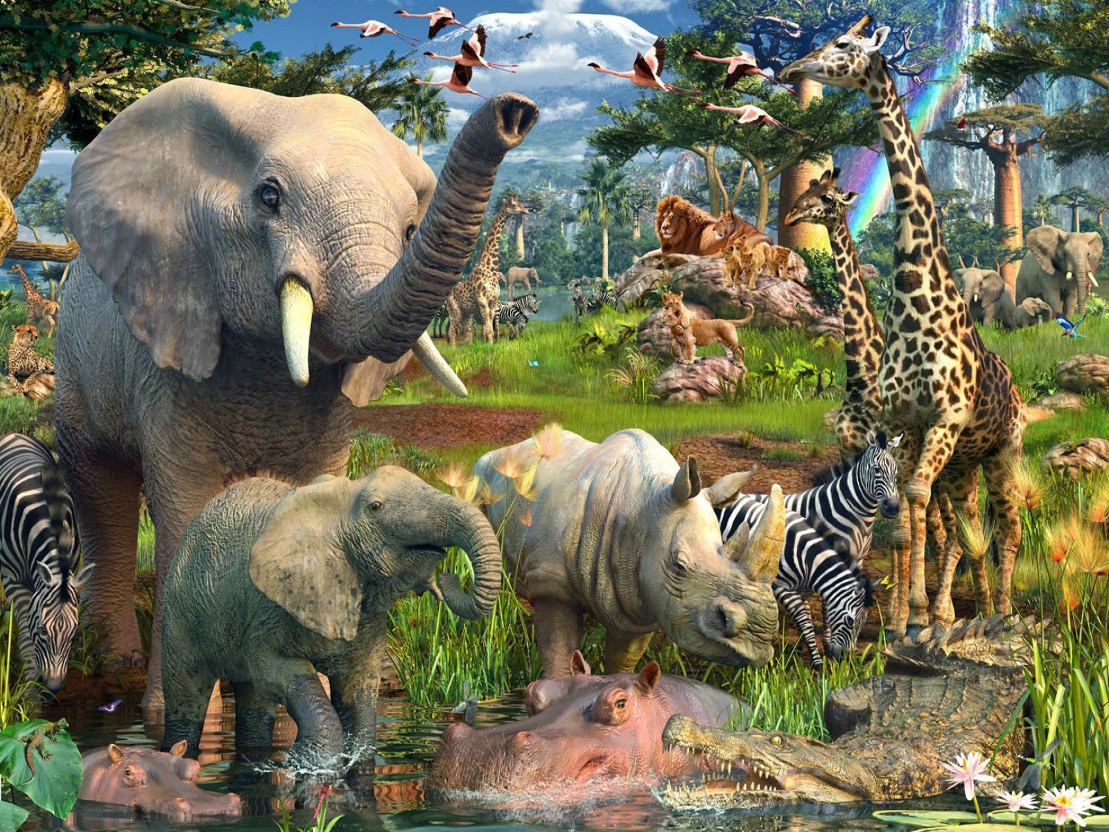 Free download Jungle Animals HD Wallpaper 1600x1200 [1600x1200] for your Desktop, Mobile & Tablet. Explore Safari Animal Wallpaper. Safari Wallpaper Border, Safari Print Wallpaper, Baby Safari Wallpaper