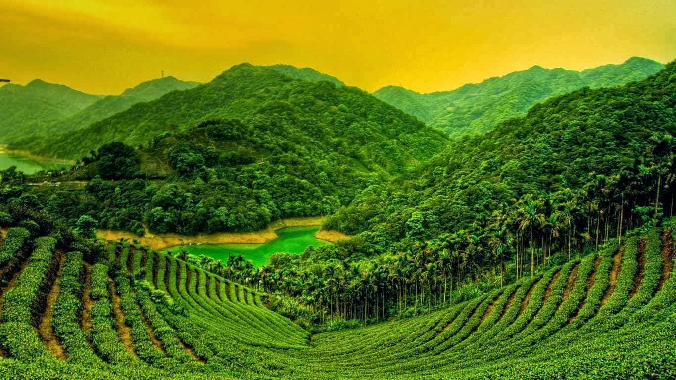 Daily Desktop Wallpaper Changer Bing Wallpaper Changer Garden Mobile Wallpaper HD