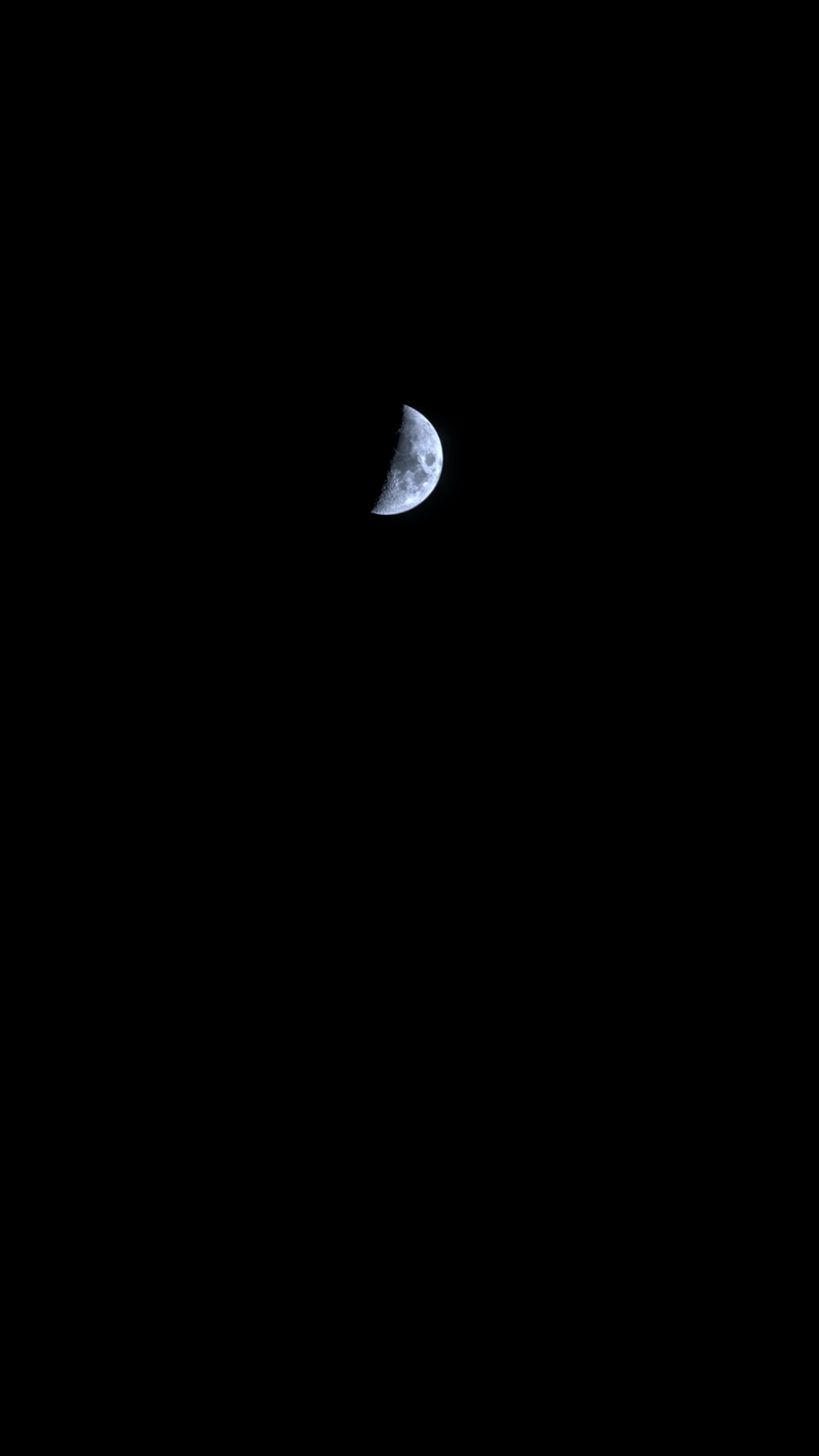 white and black half moon photo
