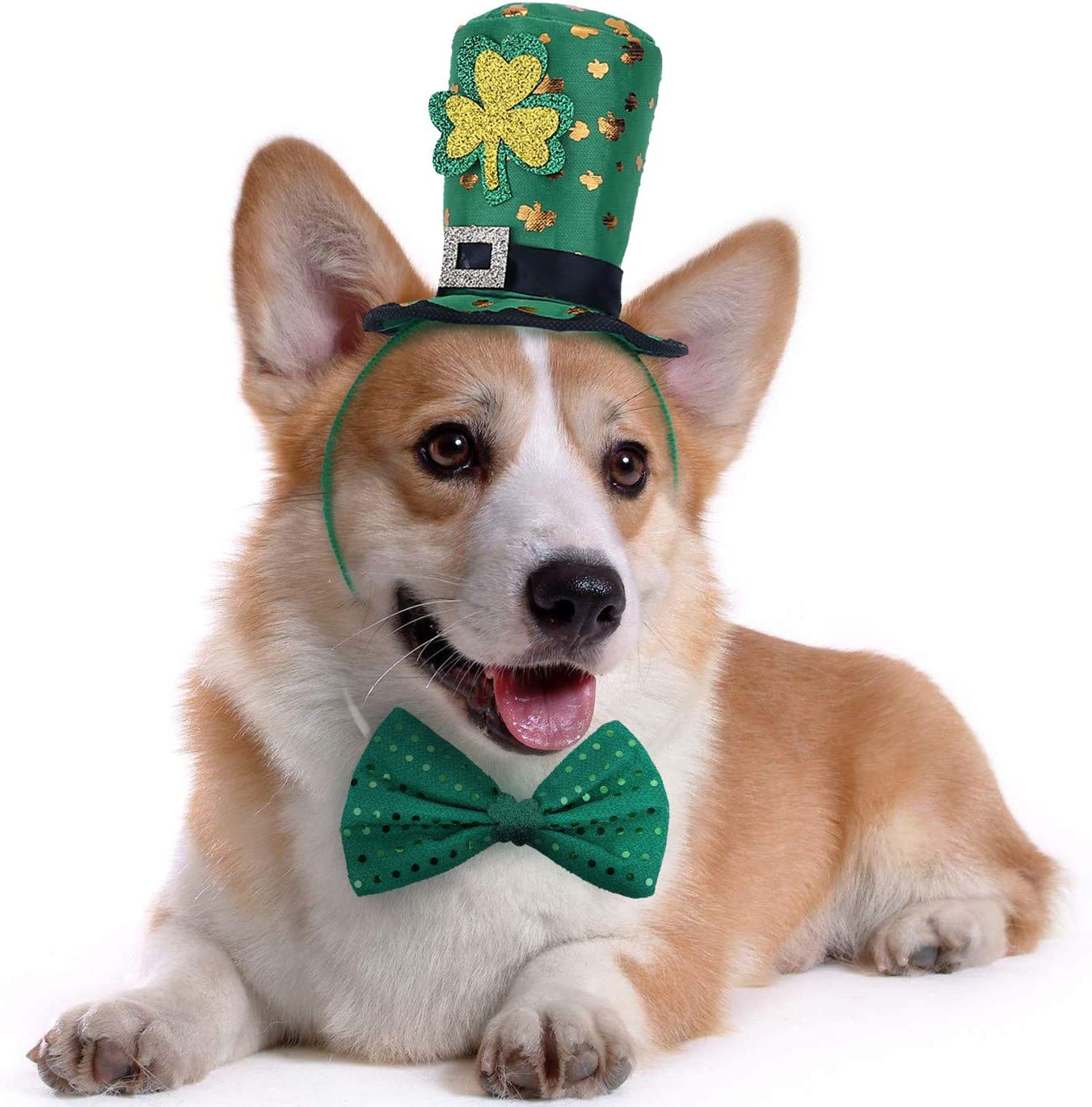 Saint Patrick's Day Dogs Wallpapers - Wallpaper Cave