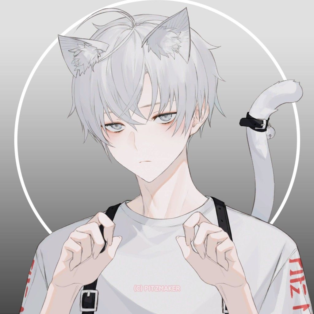 App: Pitzmaker. Cute anime cat, Anime cat boy, Anime drawings boy