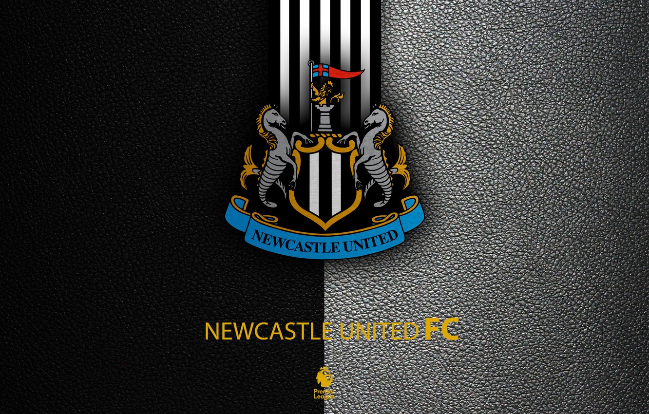 Wallpaper wallpaper, sport, logo, football, English Premier League, Newcastle United image for desktop, section спорт