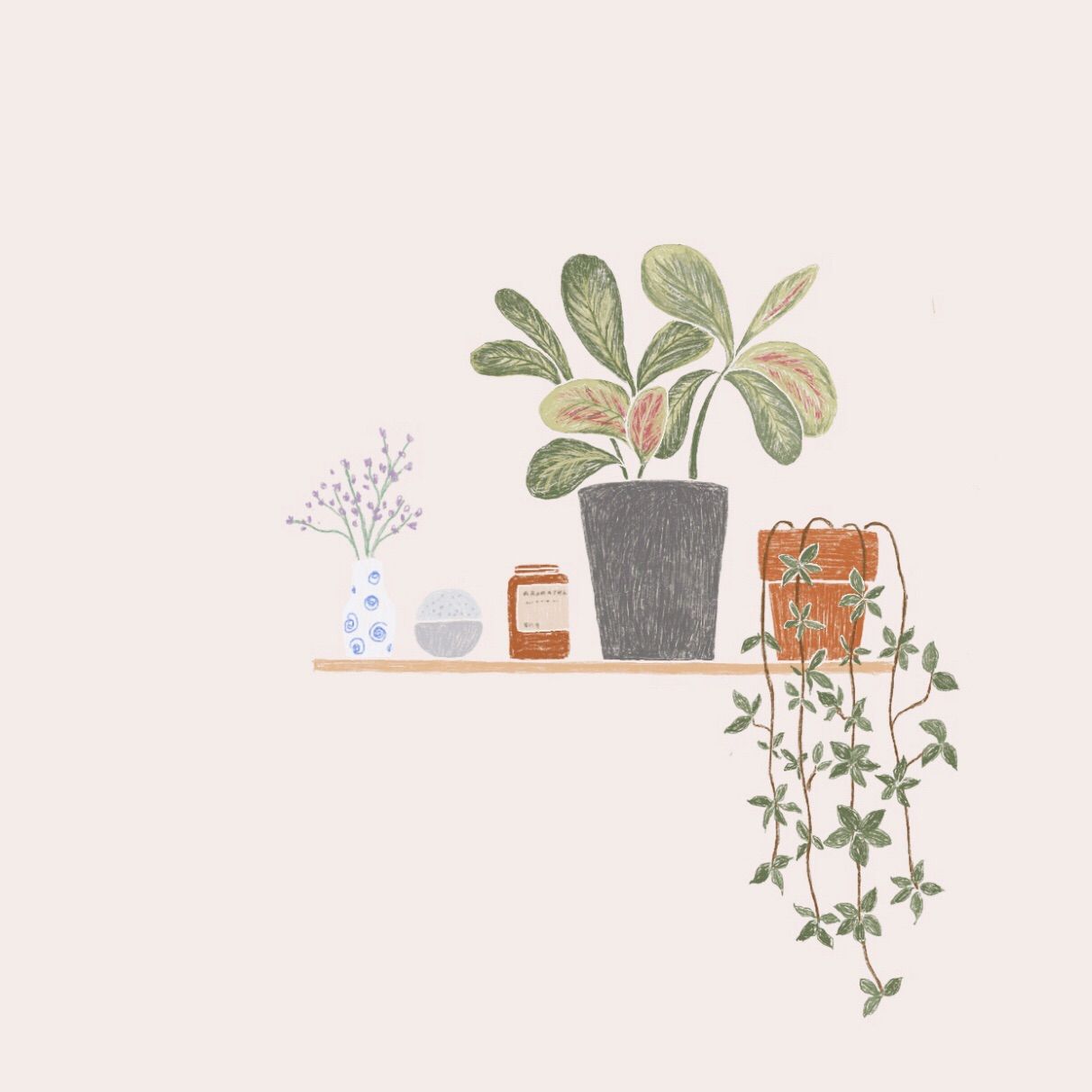 Indoor plants. Lukisan, Latar belakang, Desain