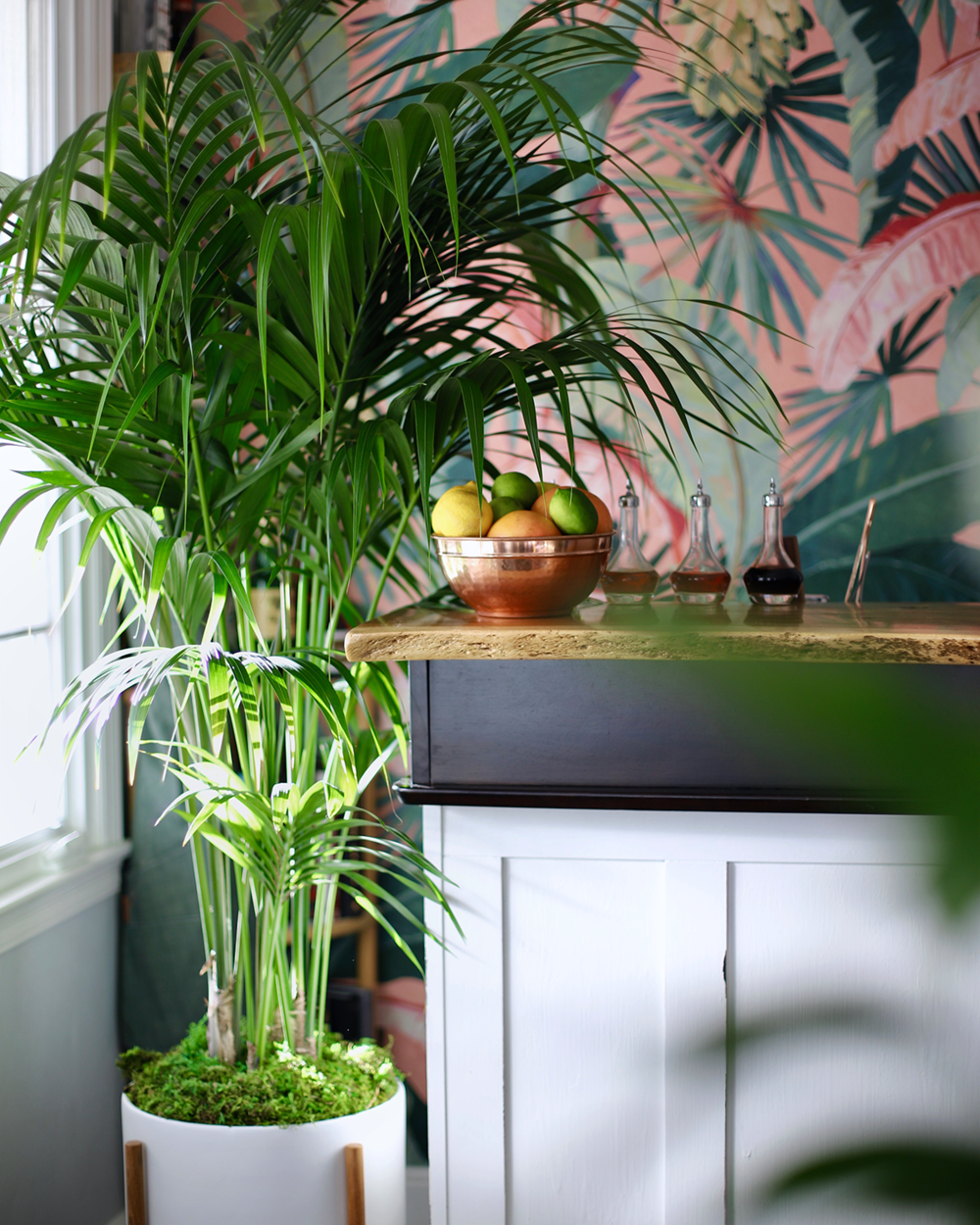 Botanical Wallpaper That Bring The Outdoors In