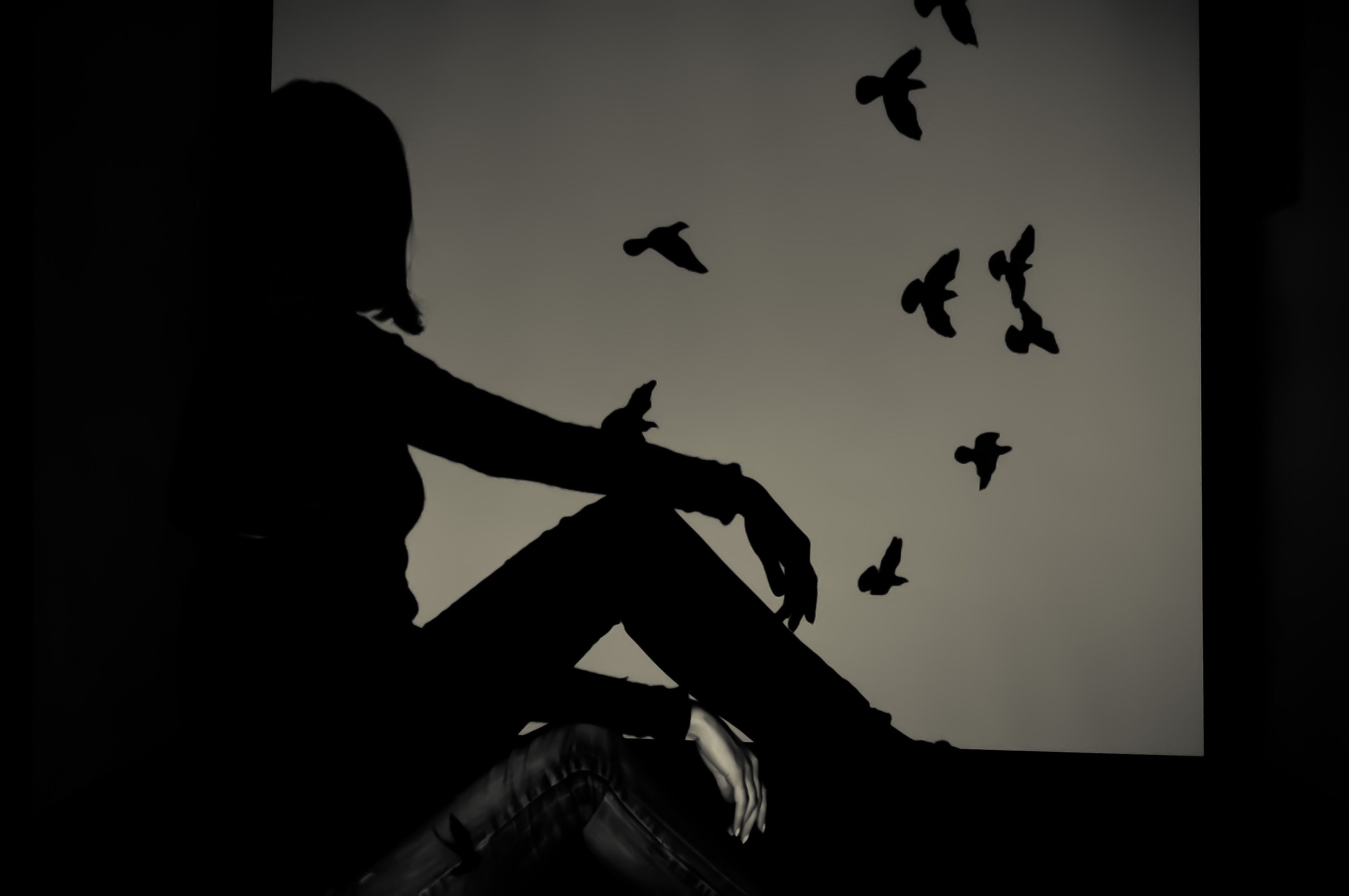 Silhouette of Woman Sitting on Window Watching Birds Flying · Free