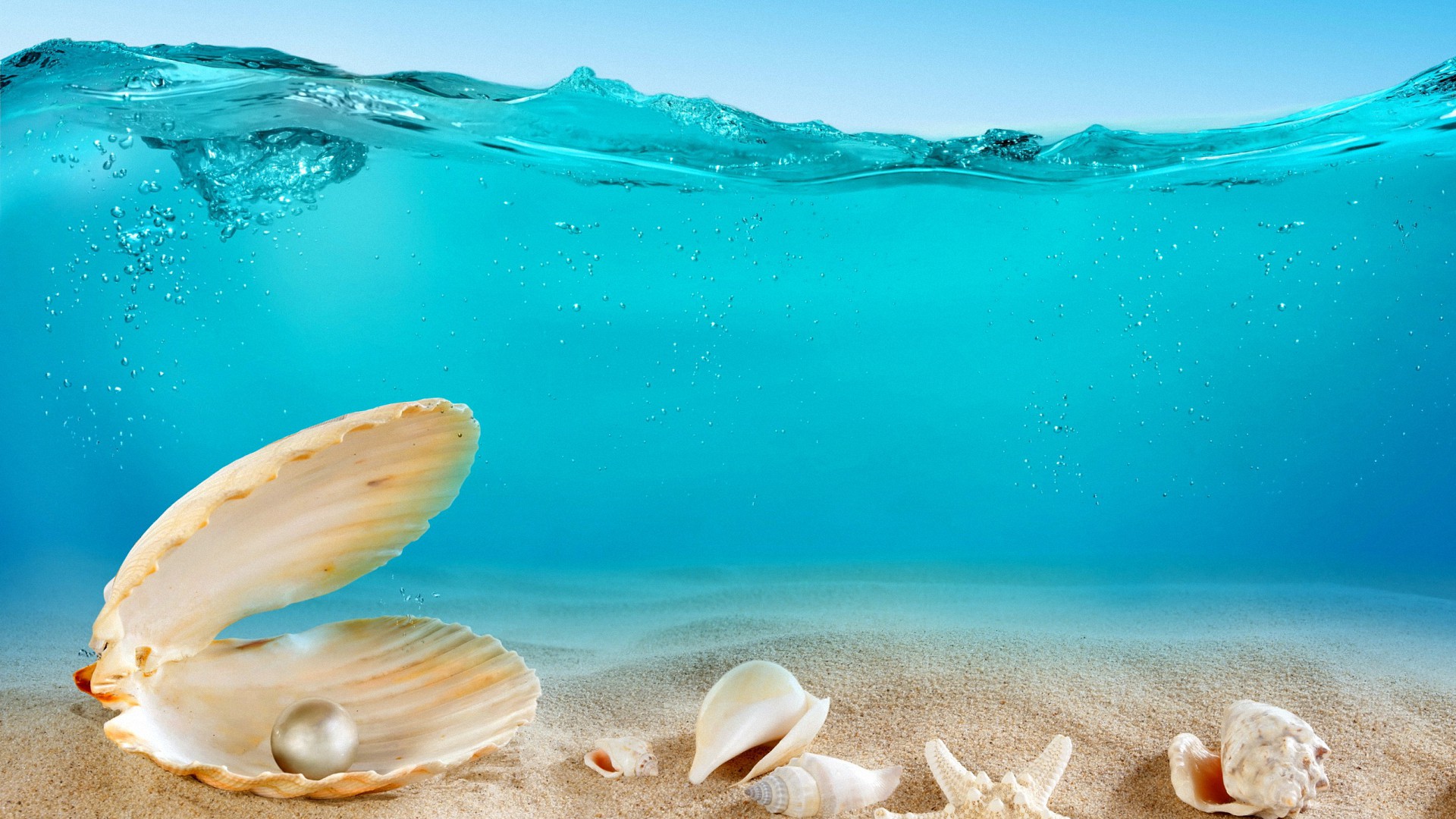 Sea Shell In Ocean