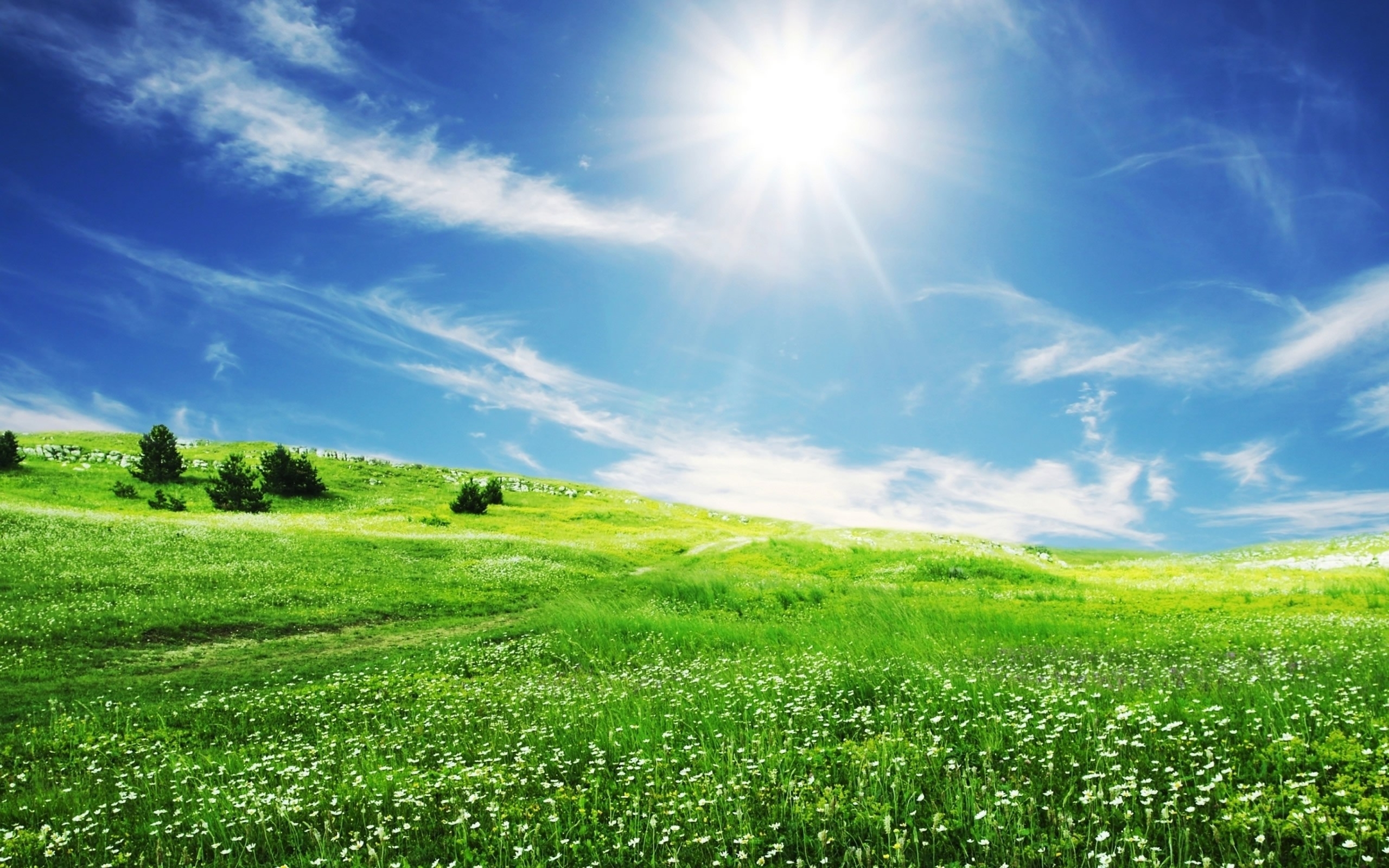 Bright Spring HD Background Wallpaper 25613