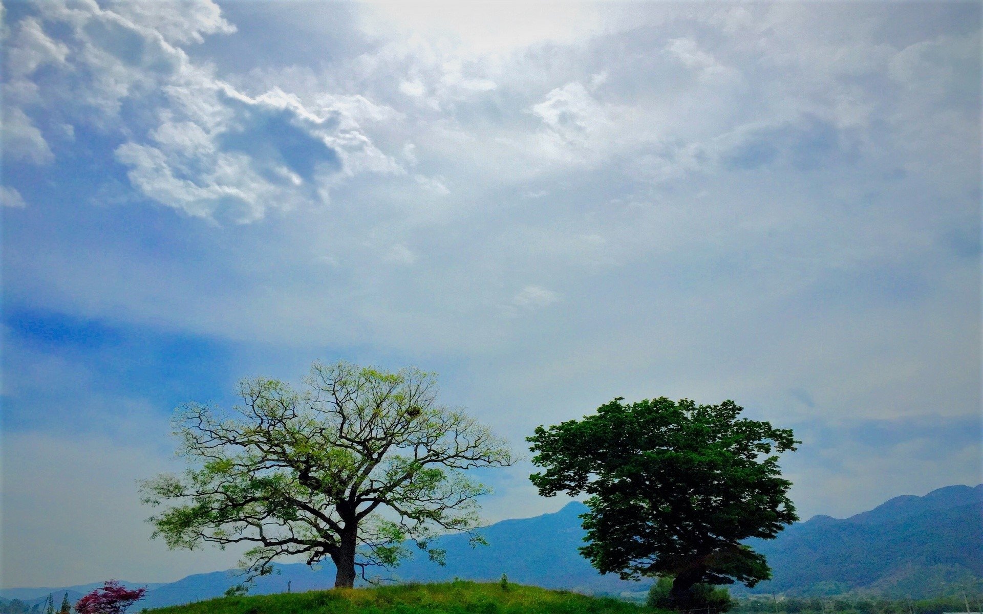 Bright Spring Day HD Wallpaper