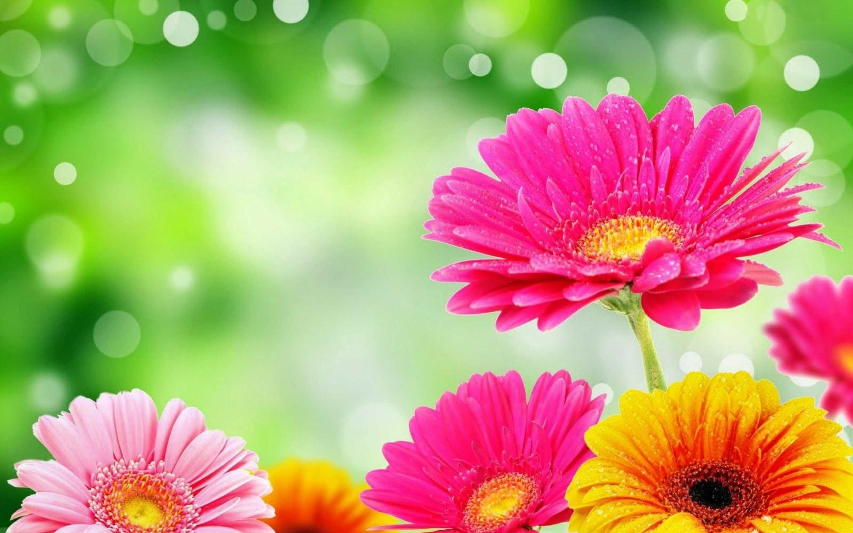 Bright Flowers Wallpaper