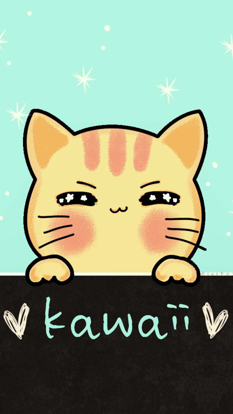 Kawaii Cat Wallpaper • Wallpaper For You