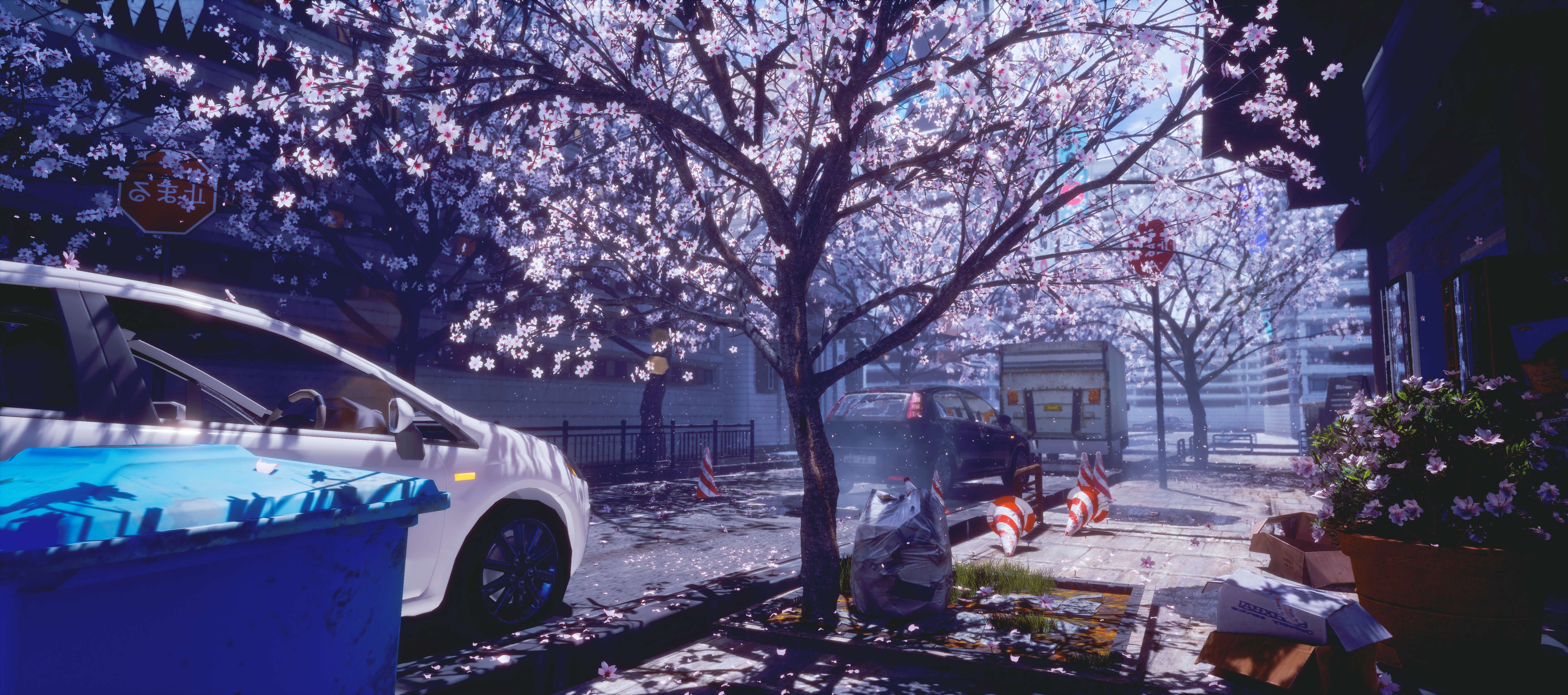 Wallpaper Spring, Cherry Blossom, Anime City:5622x2492