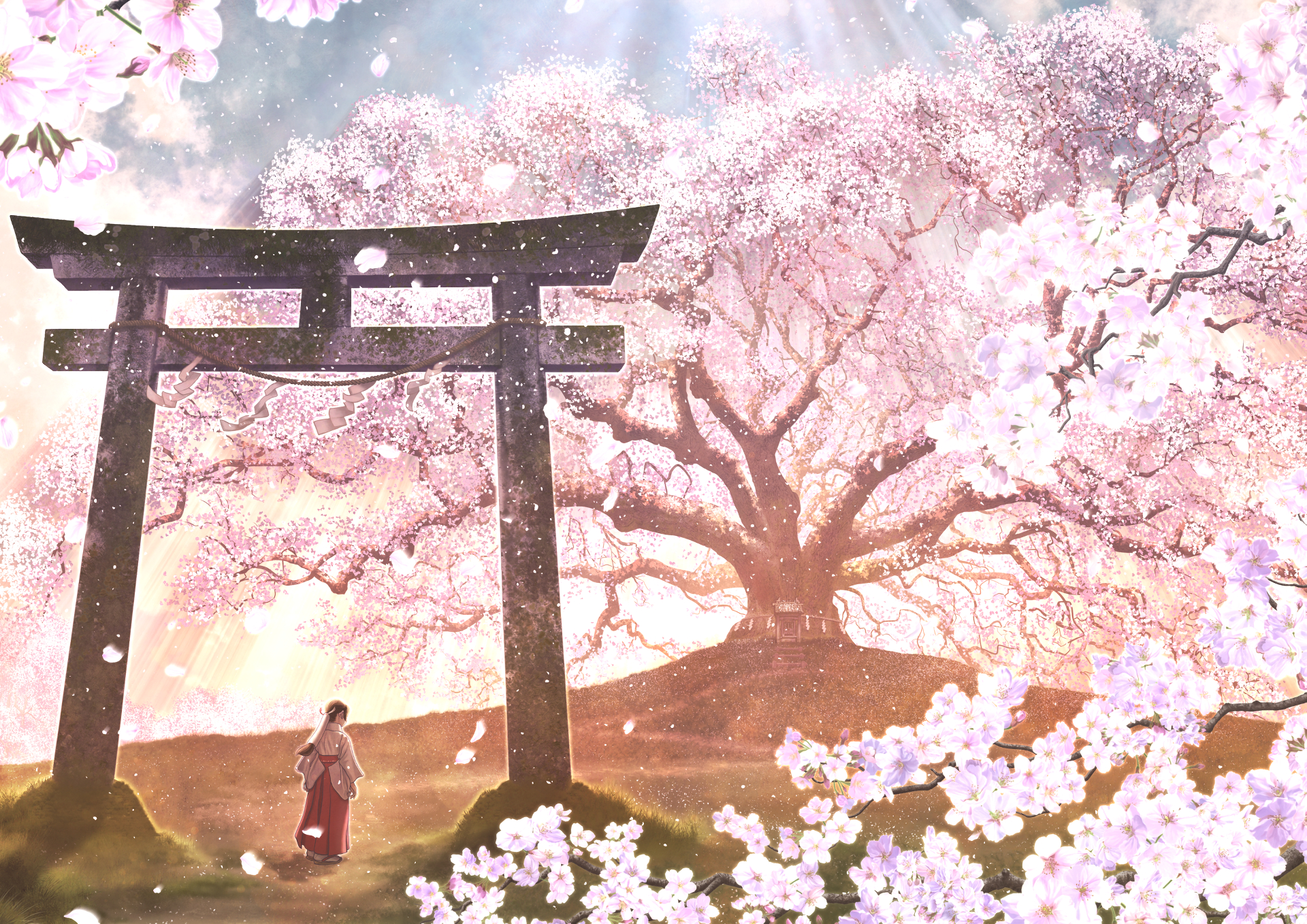 Cherry Blossom Shrine Oriental and Spring HD Wallpaper