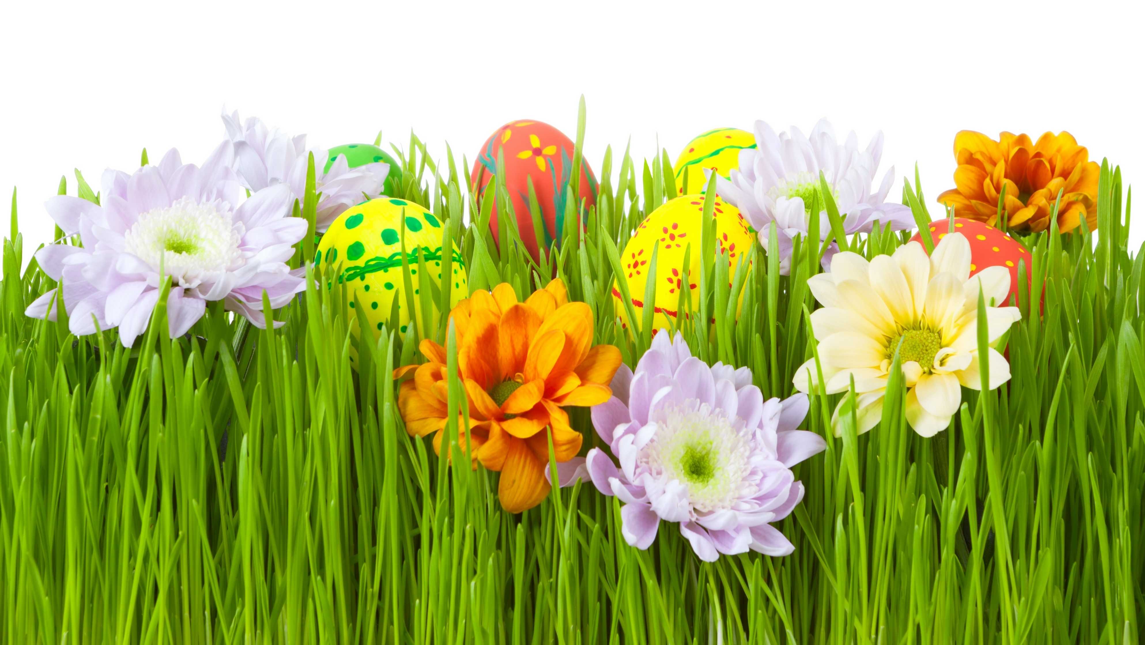 Happy Easter 4k Ultra HD Wallpaper