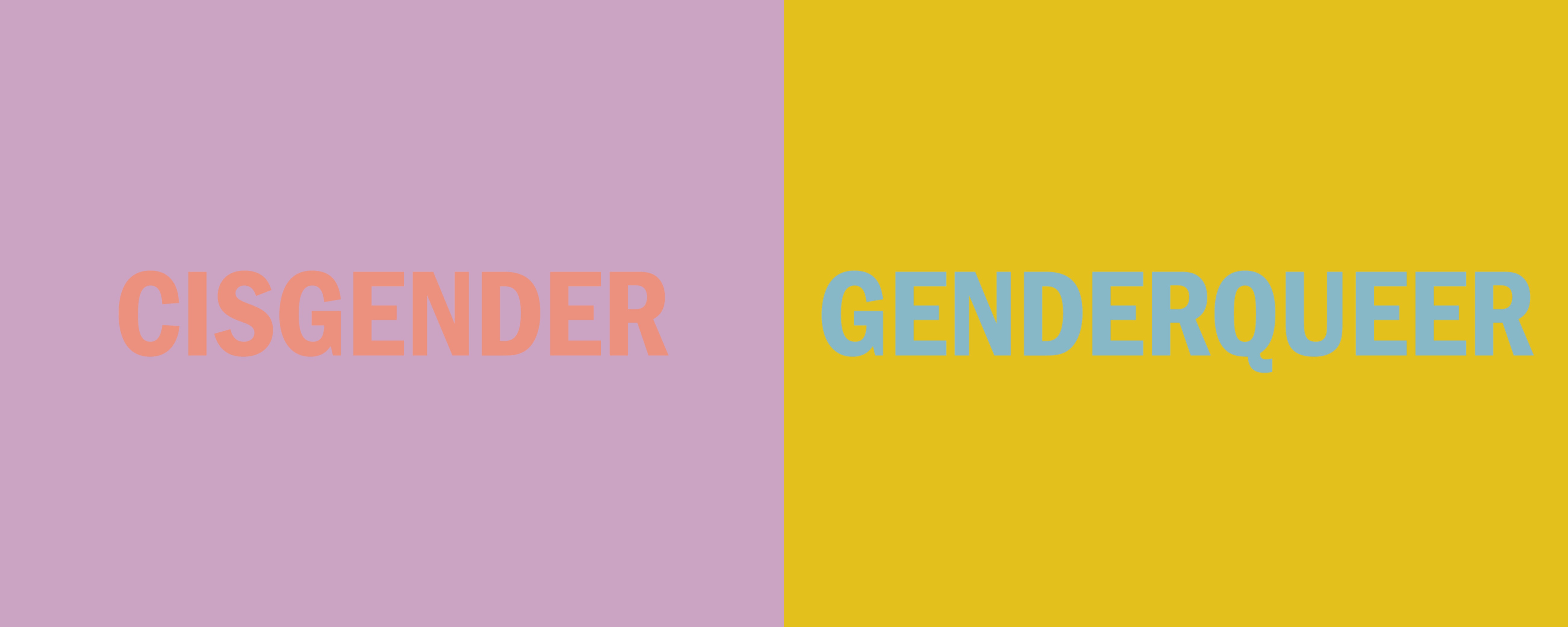 Merriam Webster Just Added “Cisgender” And “Genderqueer” To The Dictionary