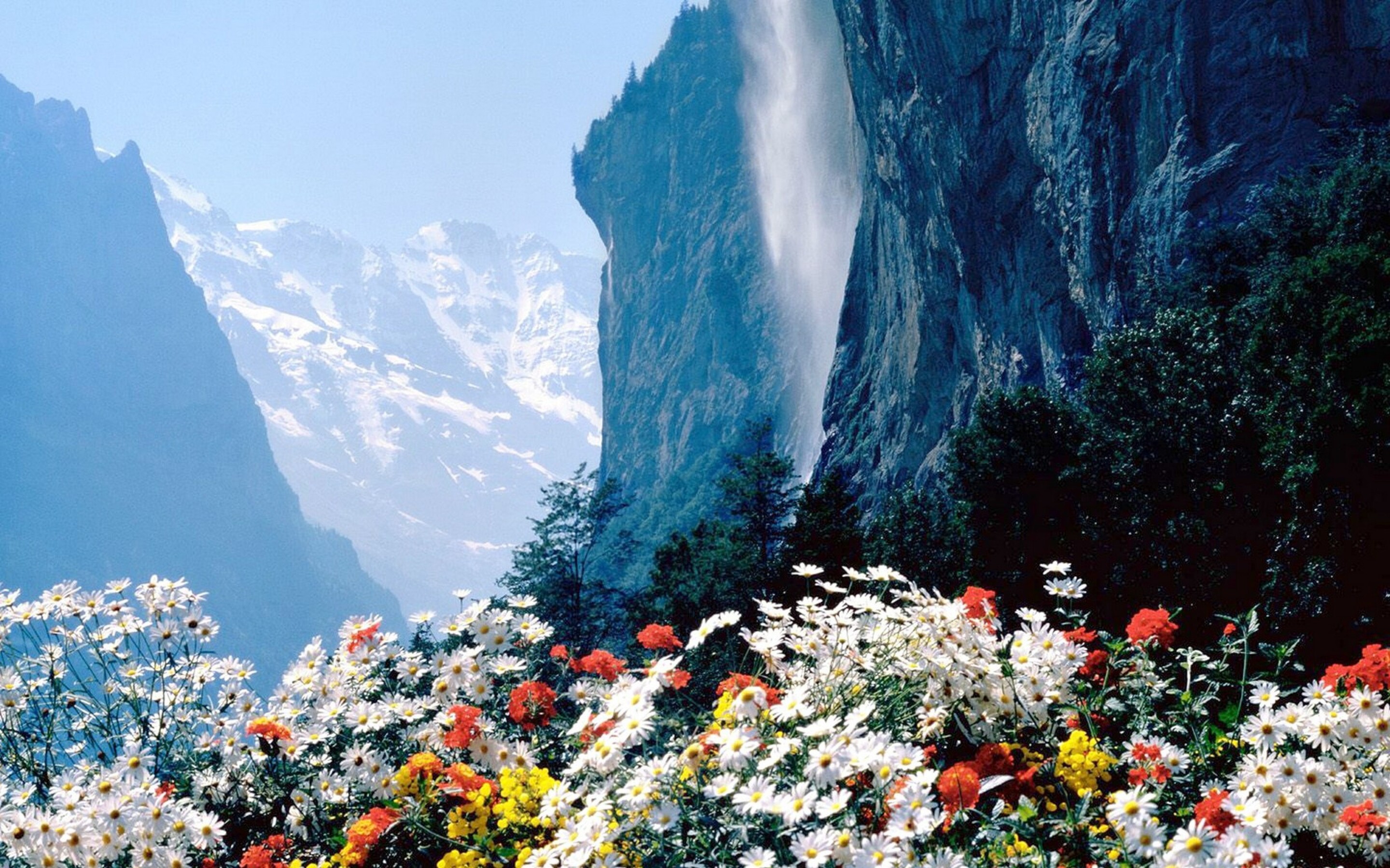 Flowers Mountains Cliff Macbook Pro Retina HD 4k Wallpaper, Image, Background, Photo and Picture