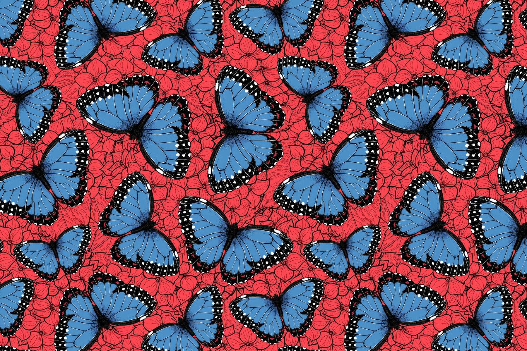 Buy Blue morpho butterflies wallpaper
