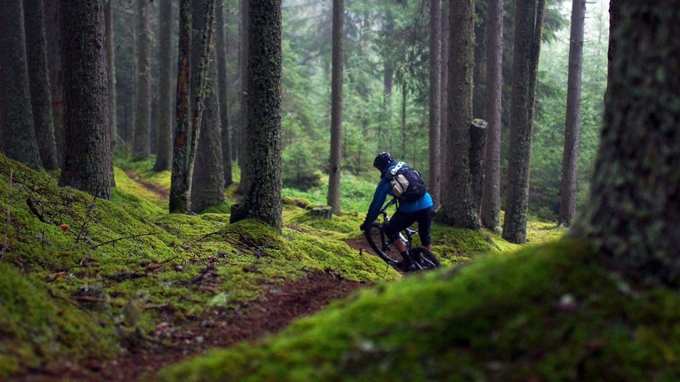 Mountain Bike Race 2022 Green Jungle 5K Photo