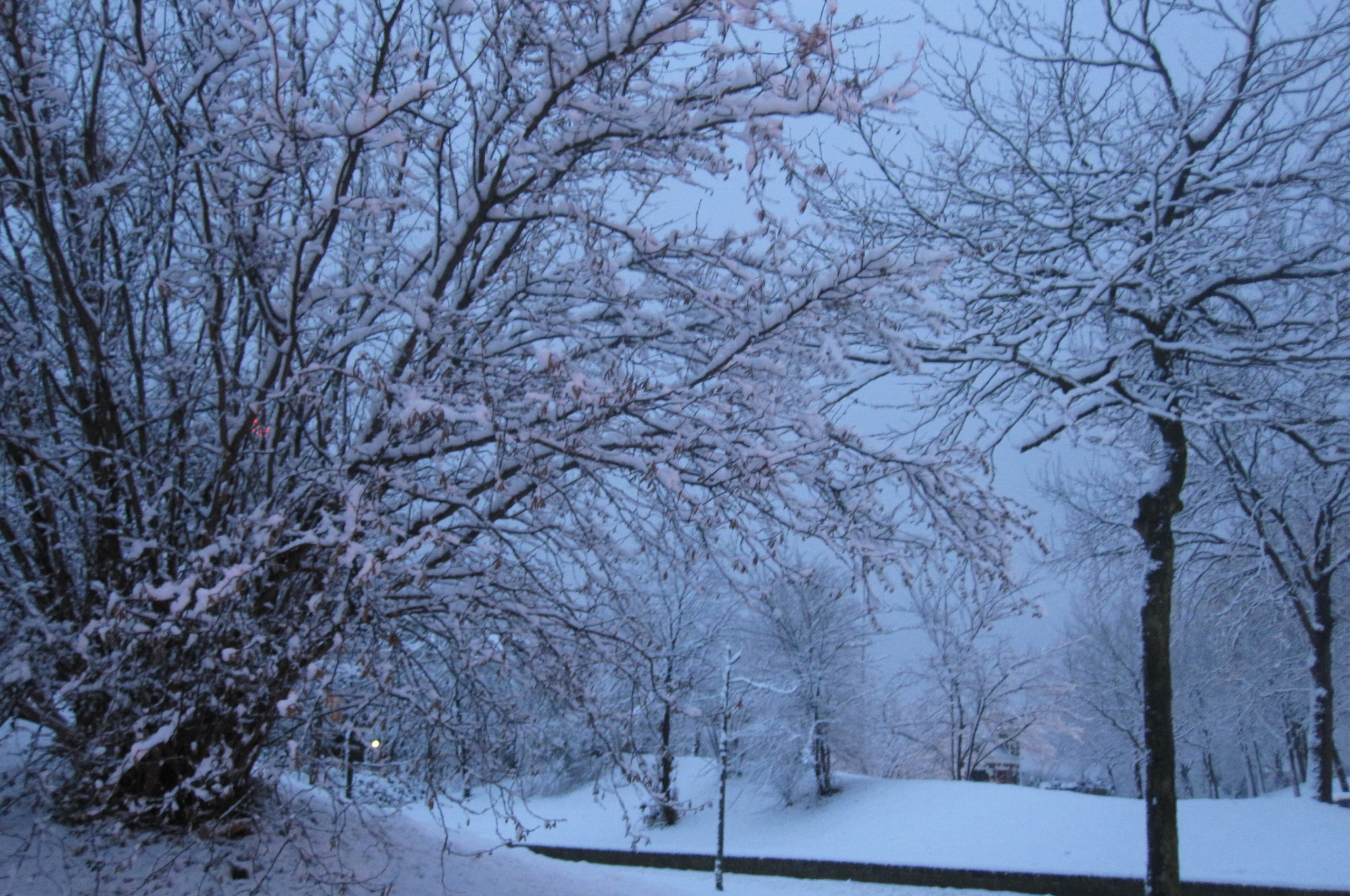 Free download Early winter morning wallpaper [3264x2448] for your Desktop, Mobile & Tablet. Explore Early Winter Wallpaper. Early Winter Wallpaper, Early Victorian Wallpaper, Early Spring Wallpaper