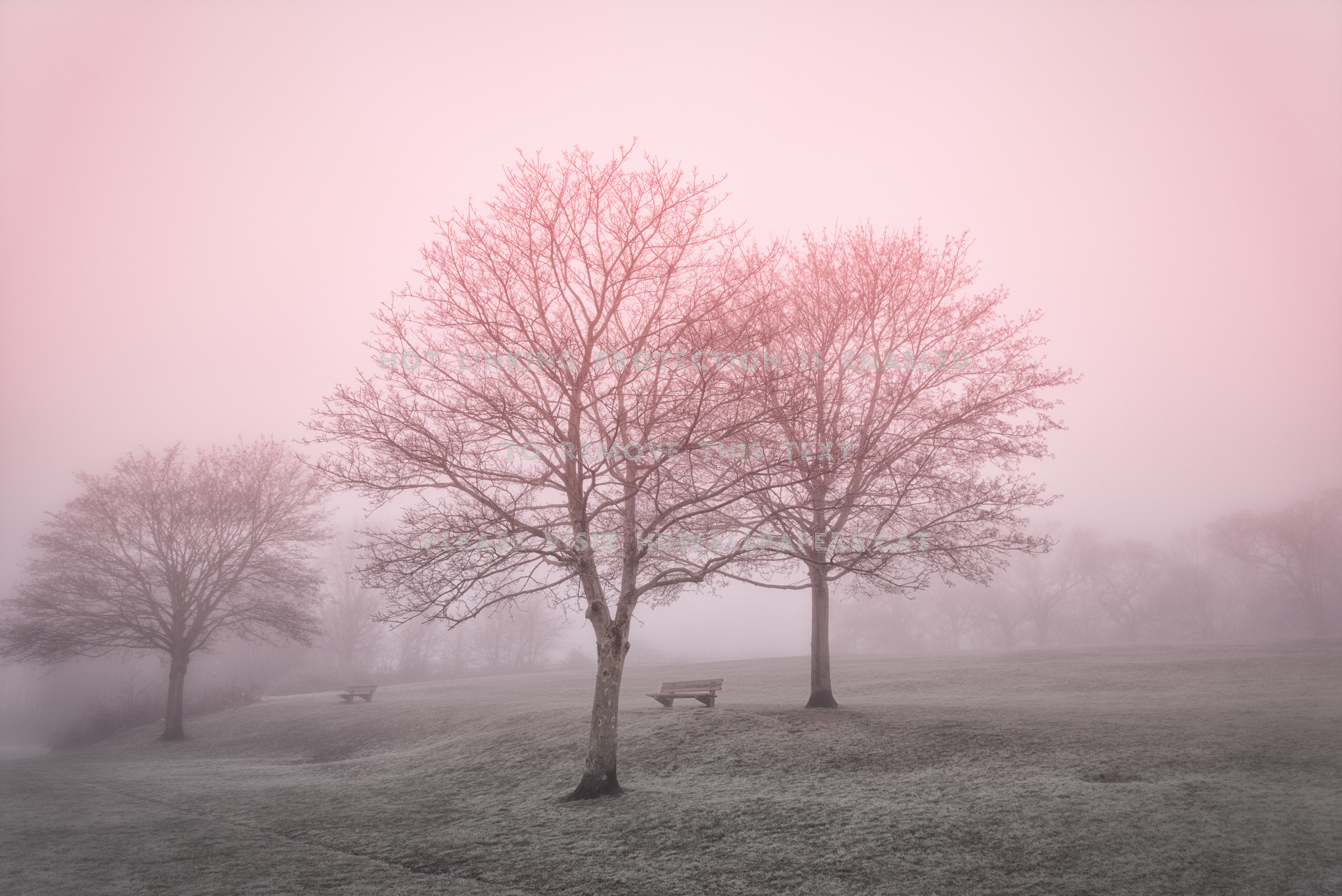 early morning misty landscape nature winter