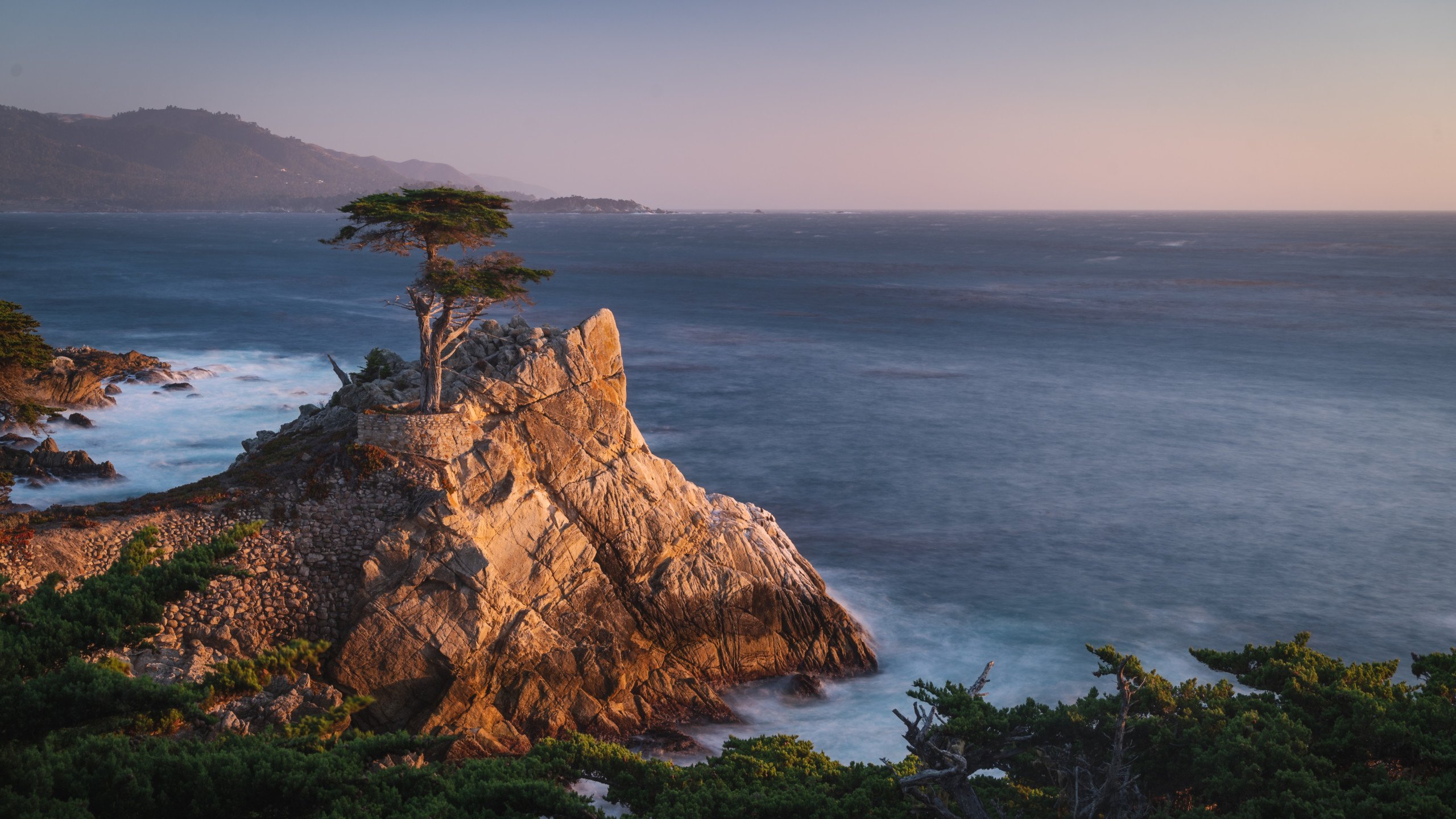 In Defiance Of Apple, This Is A Nature Themed MacOS Monterey Wallpaper