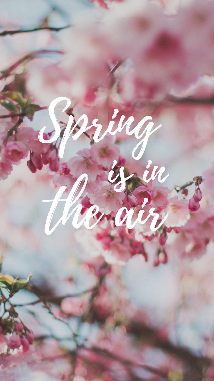 Spring pink flower quotes wallpaper iphone. Spring wallpaper, Spring flowers background, Best flower wallpaper