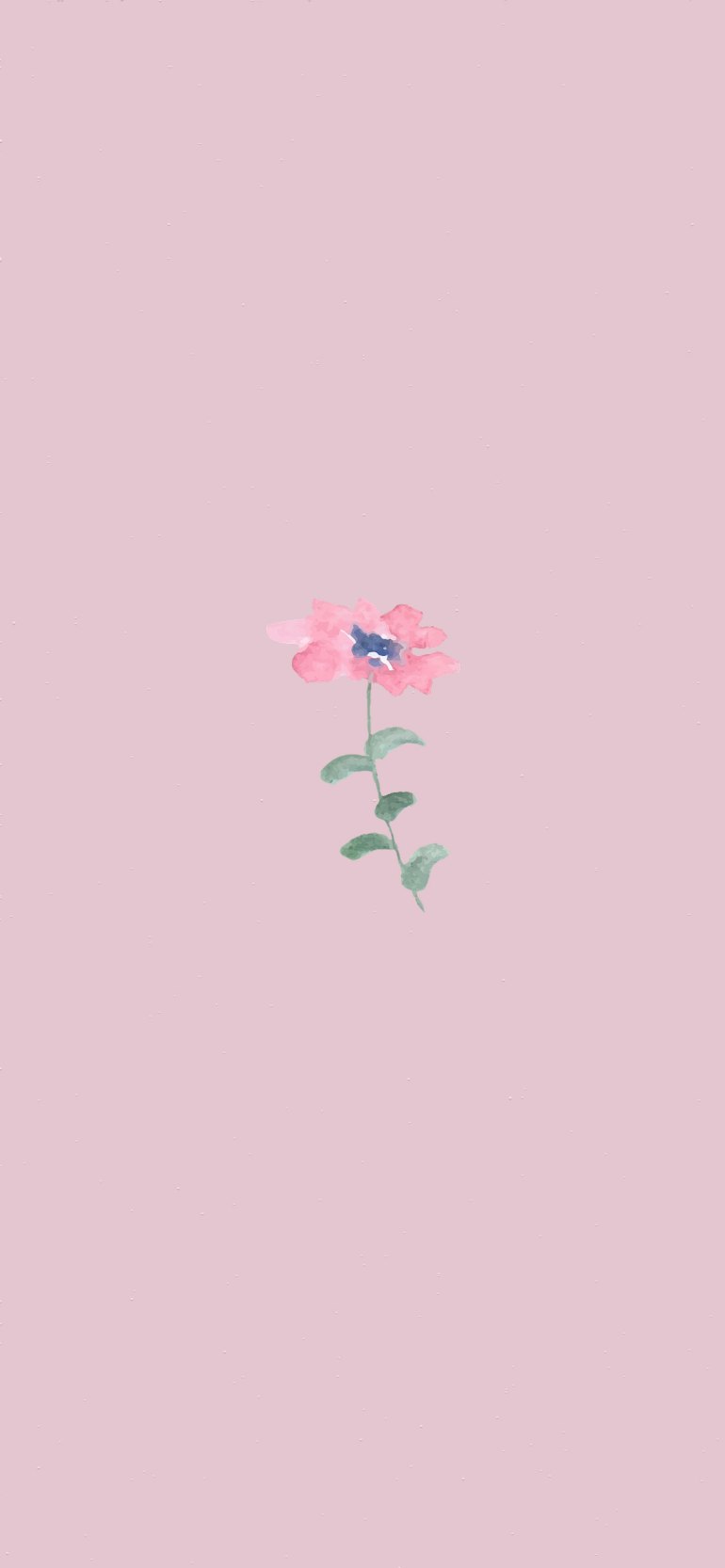 Pink Aesthetic Picture, Pink Flower Wallpaper