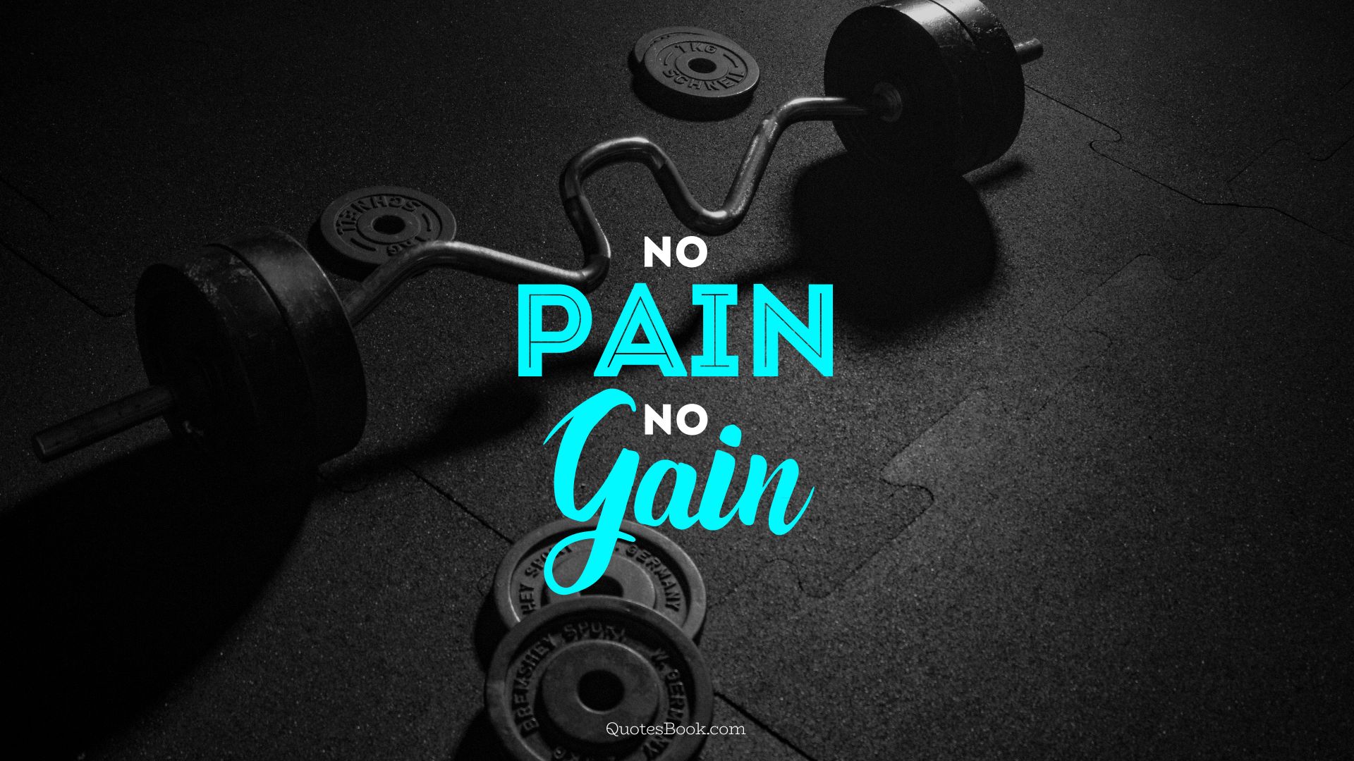 Gym No Pain No Gain Wallpaper HD