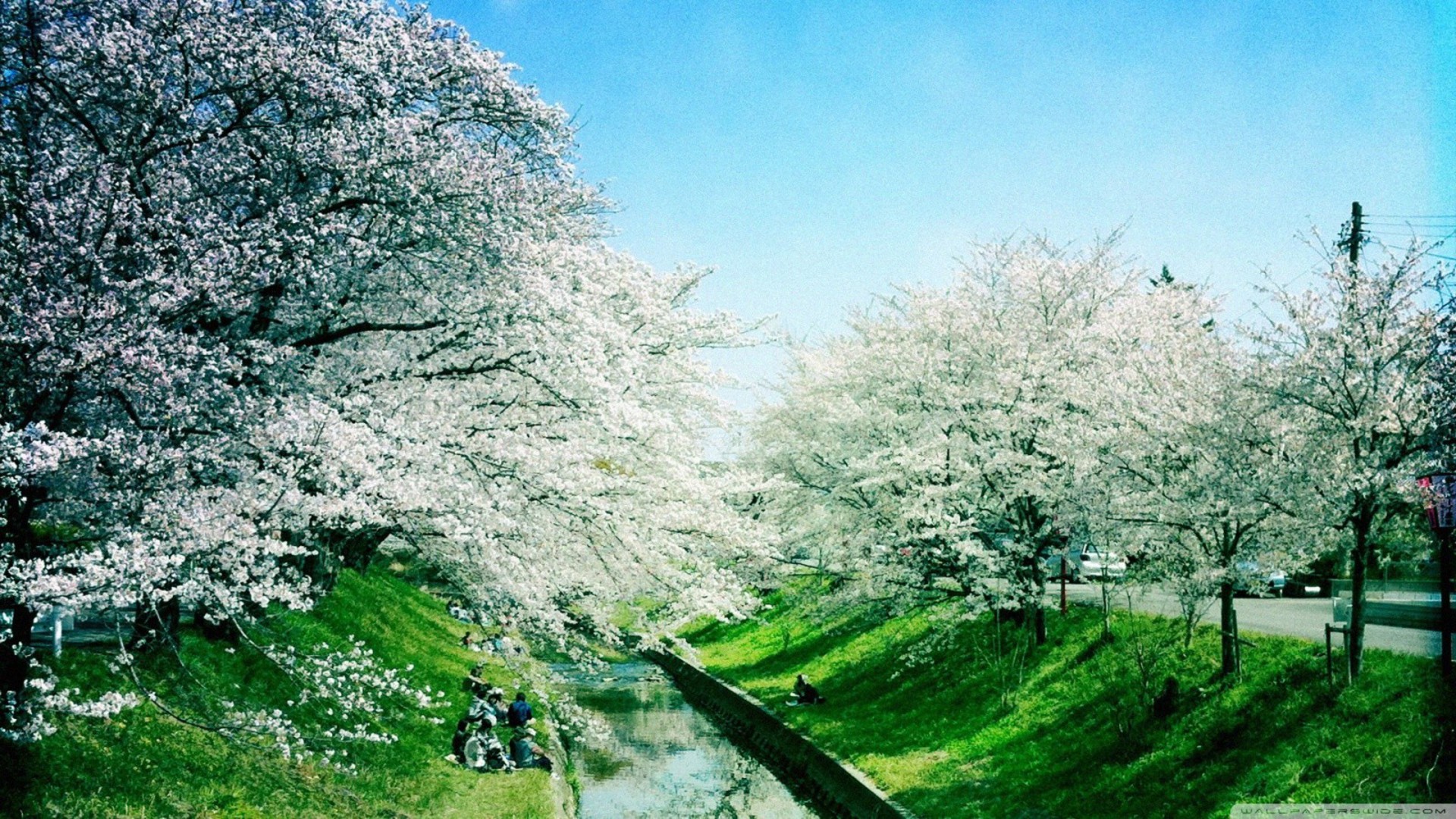 Spring Season Wallpaper For Android For Free Wallpaper Definition Spring