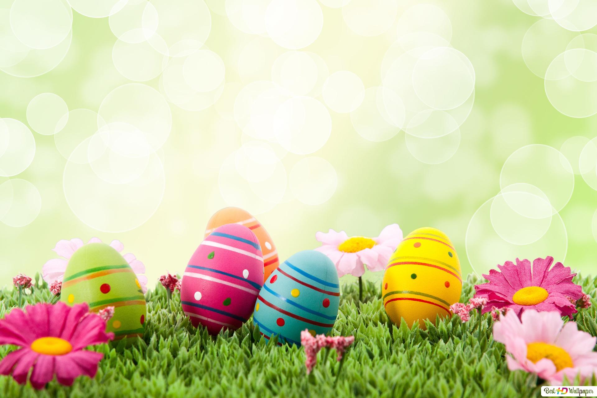 Happy Easter Eggs Color HD wallpaper download