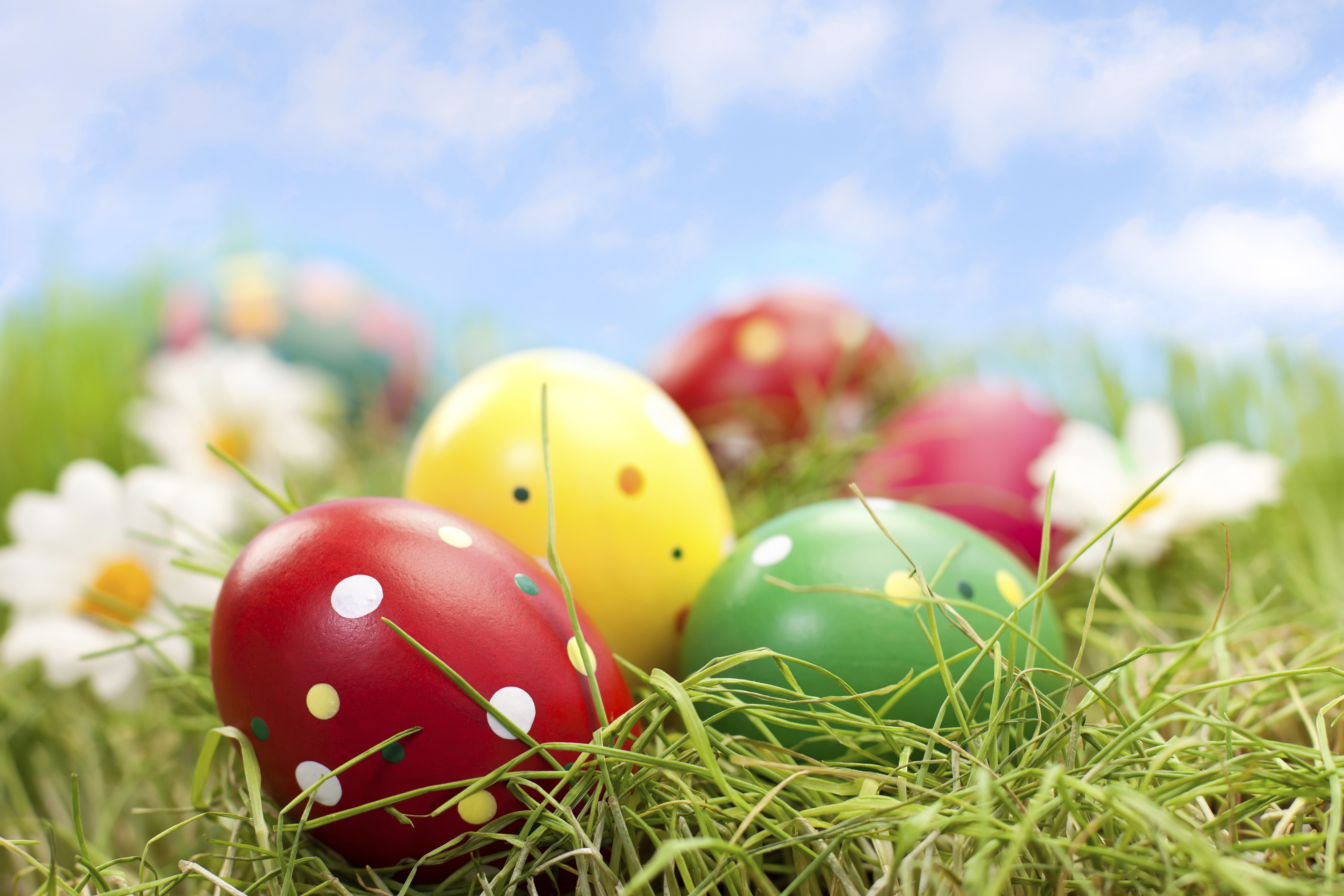 Easter in Orlando. Find Things to Do & Festivals