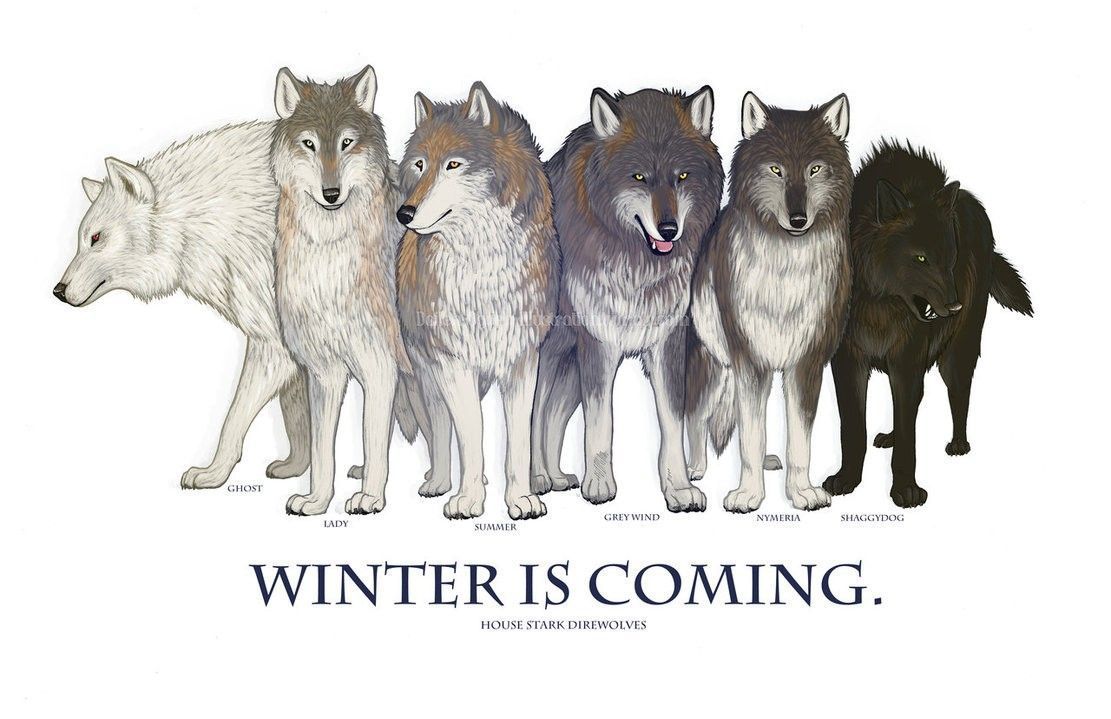 Game of Thrones, Winter is Coming, direwolf, Ghost, House Stark.