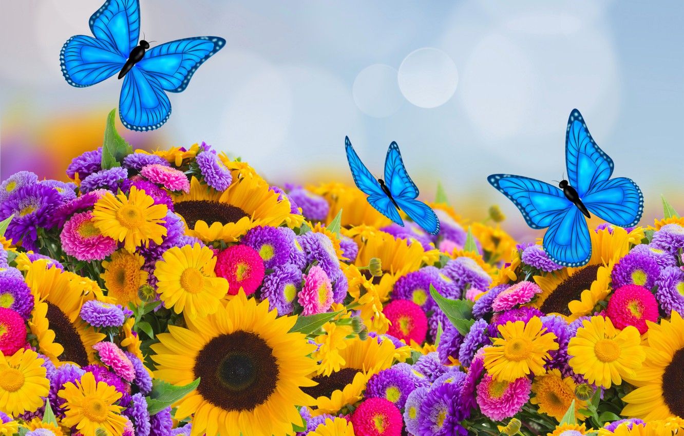 Colorful Sunflower Wallpapers.