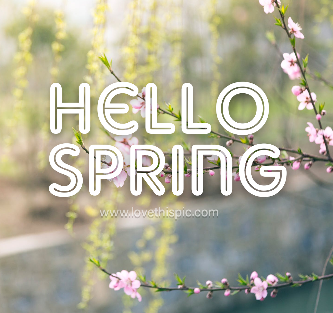 Cute Pink Flowers Spring Picture, Photo, and Image for Facebook, Tumblr, , and Twitter