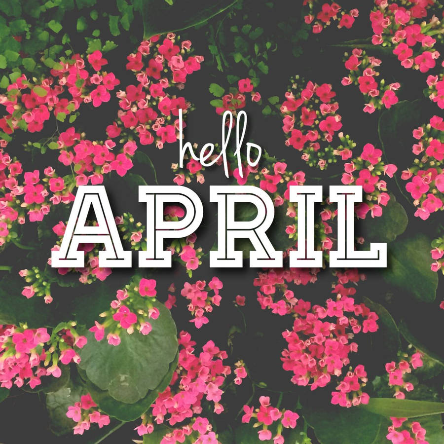 Cute Hello Spring Wallpapers - Wallpaper Cave