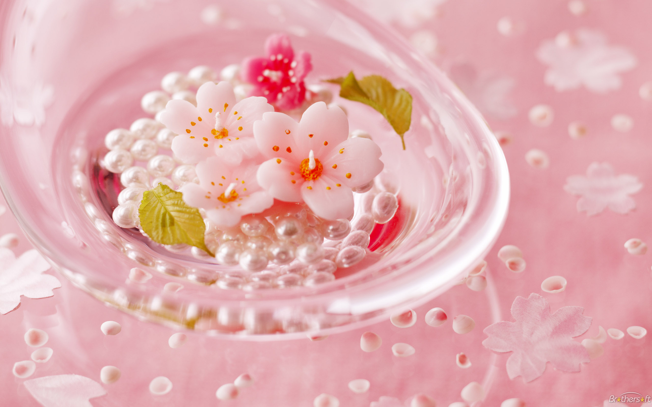 Beautiful Flowers Wallpaper Free Download