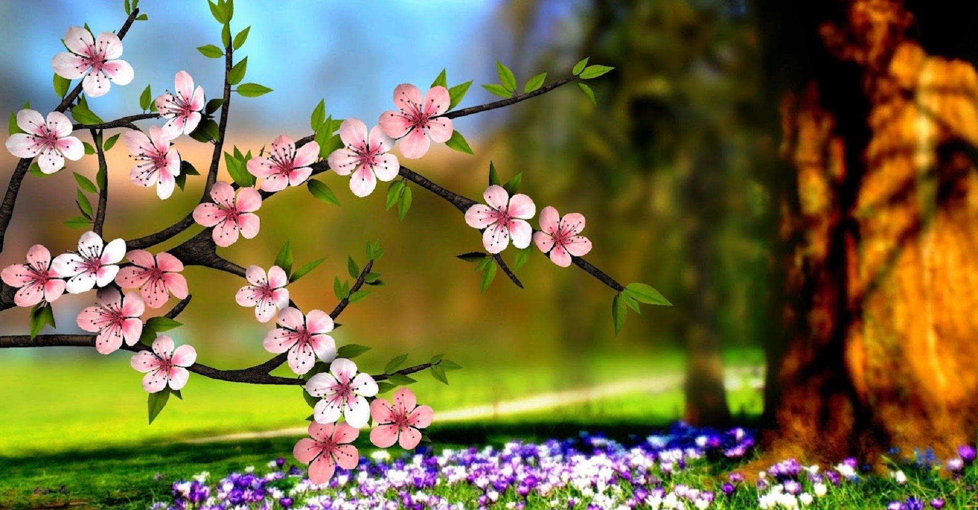 Lovely & Beautiful Flower Wallpaper & HD Image 2017