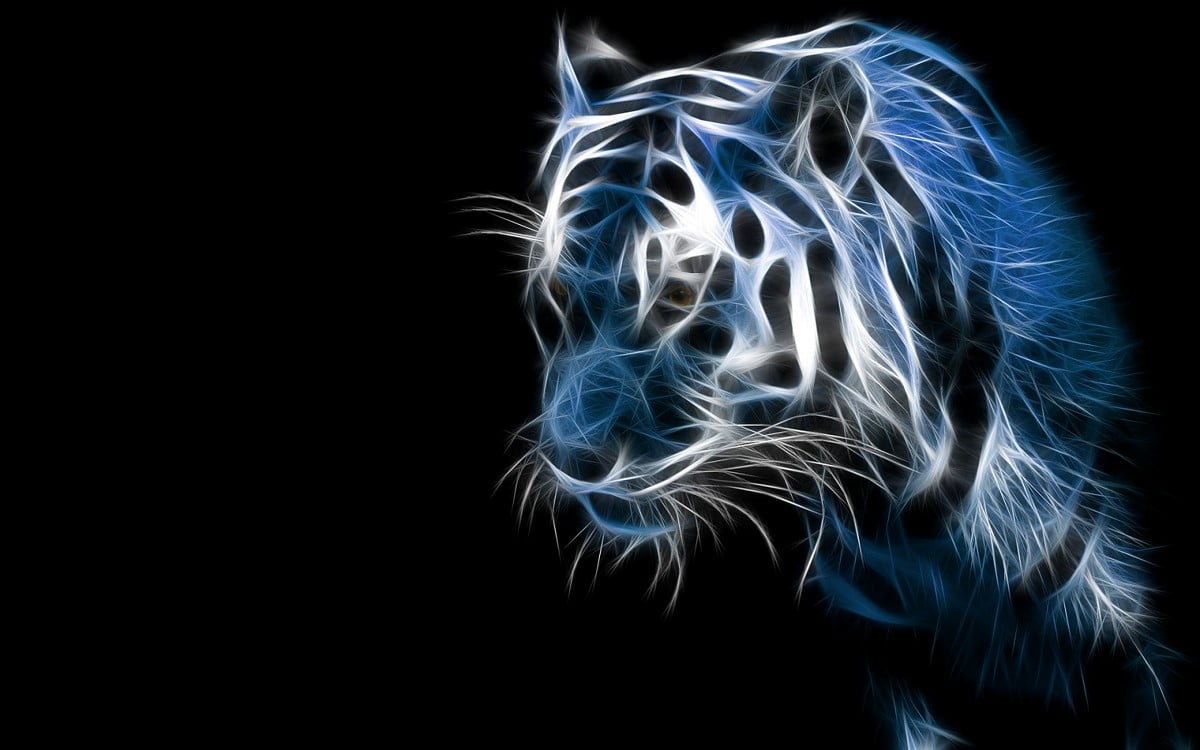 Electric Leopard Wallpaper Free Electric Leopard Background