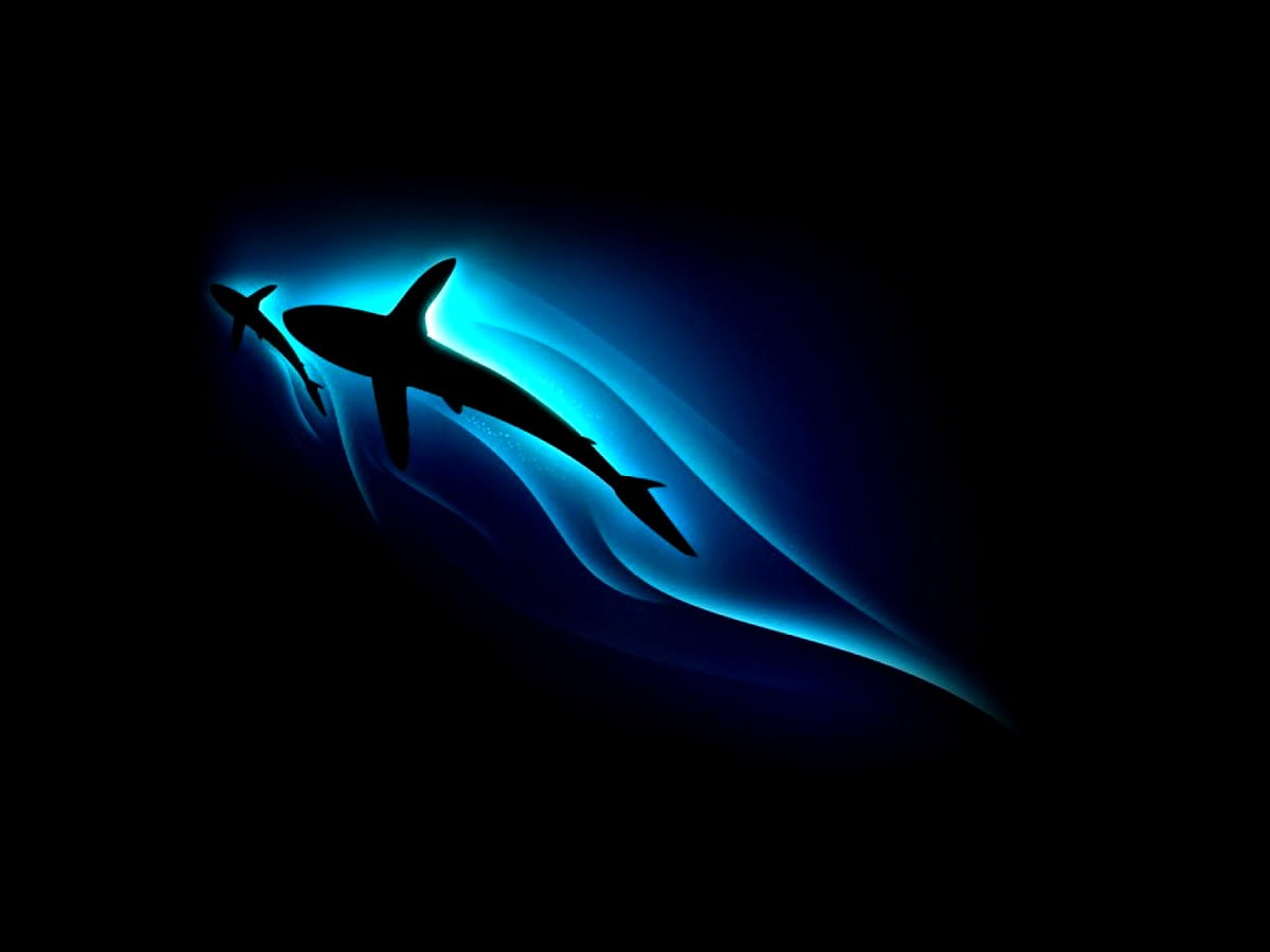 Fantasy, Electric Blue, Fish wallpaper. Free TOP background
